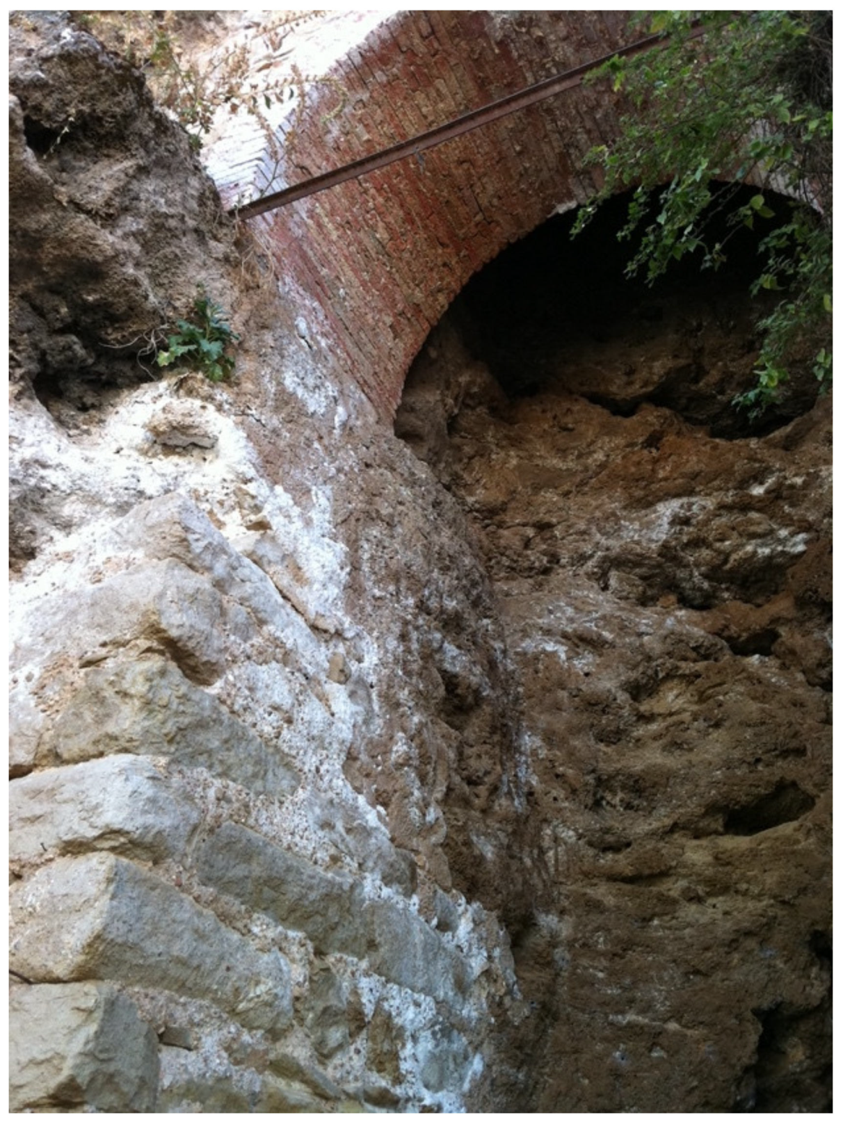 Sustainability 13 09834 g008