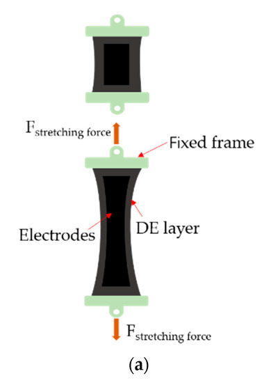 Dielectric Elastomer Generator for Electromechanical Energy