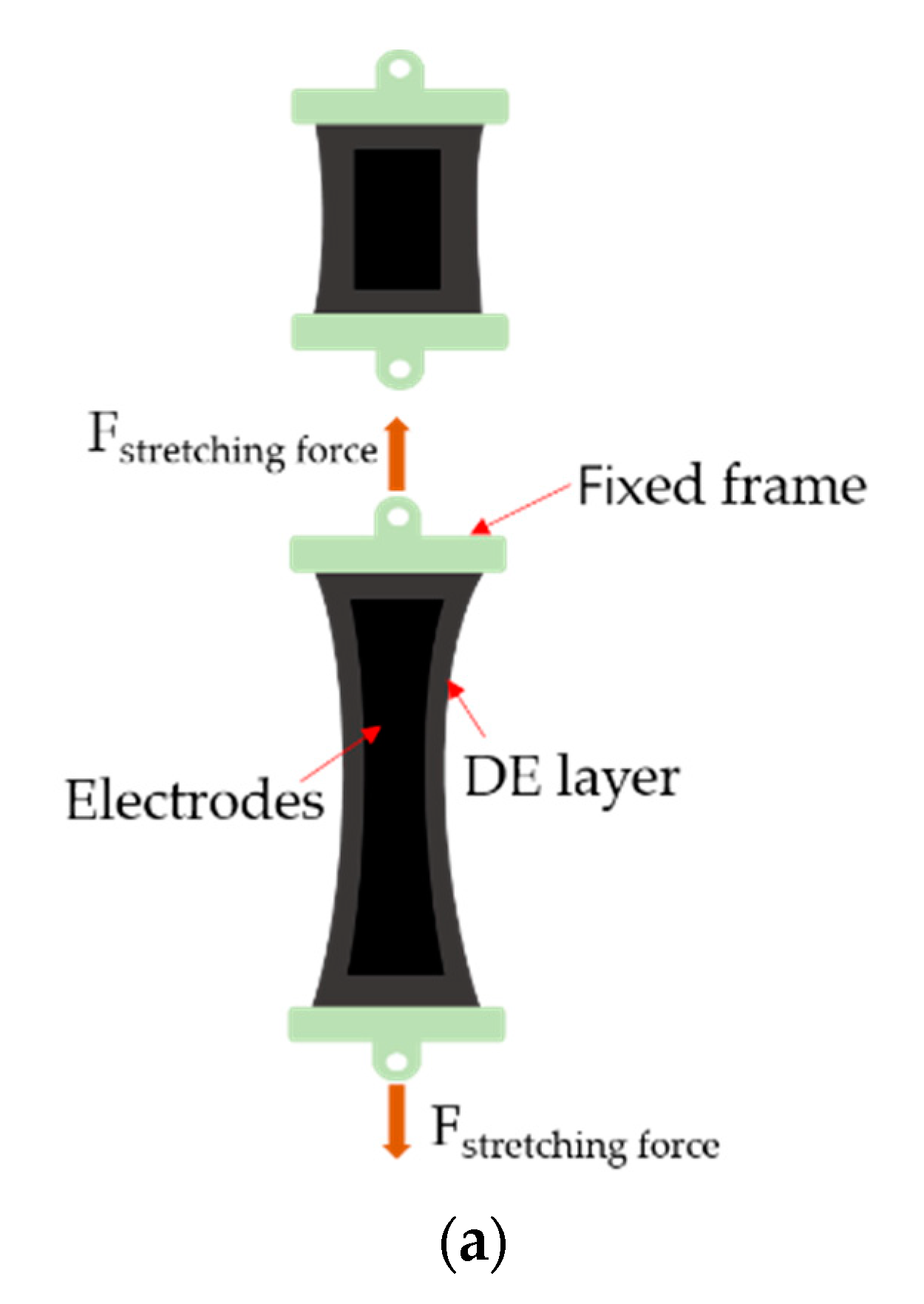 Sustainability | Free Full-Text | Dielectric Elastomer Generator 
