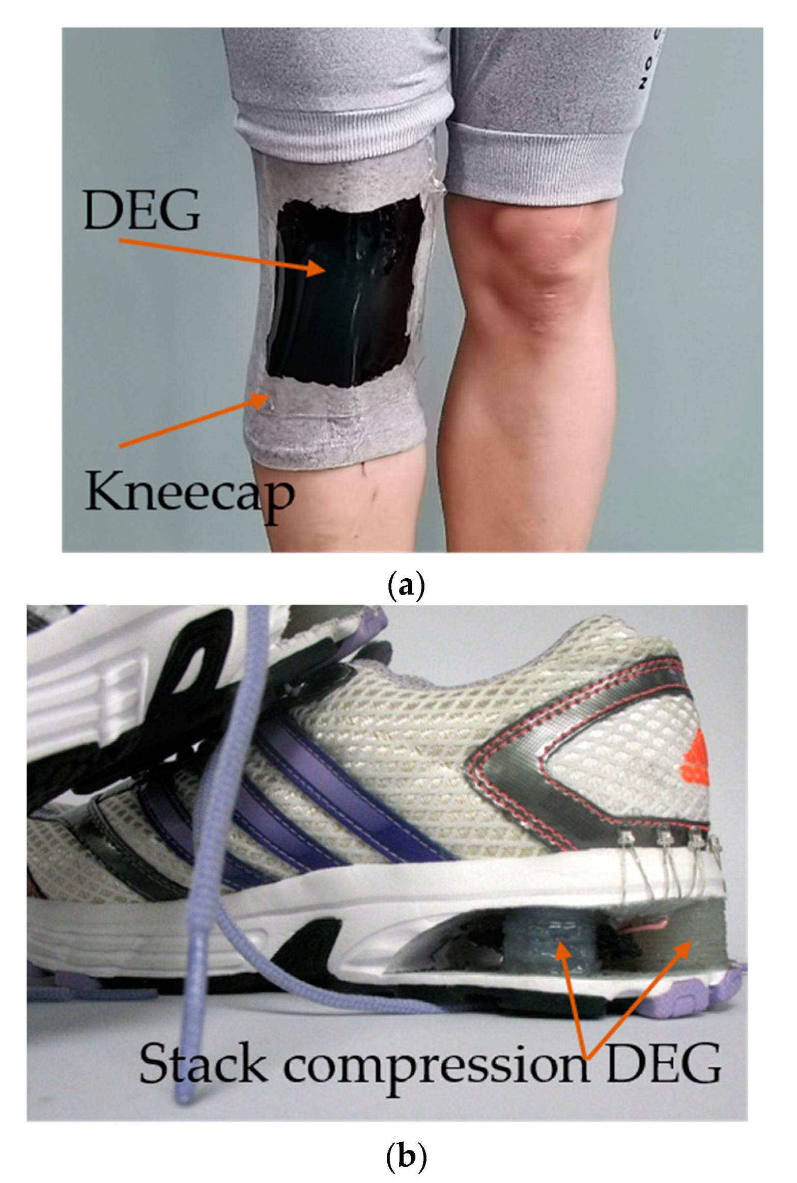 Sustainability 13 09881 g005