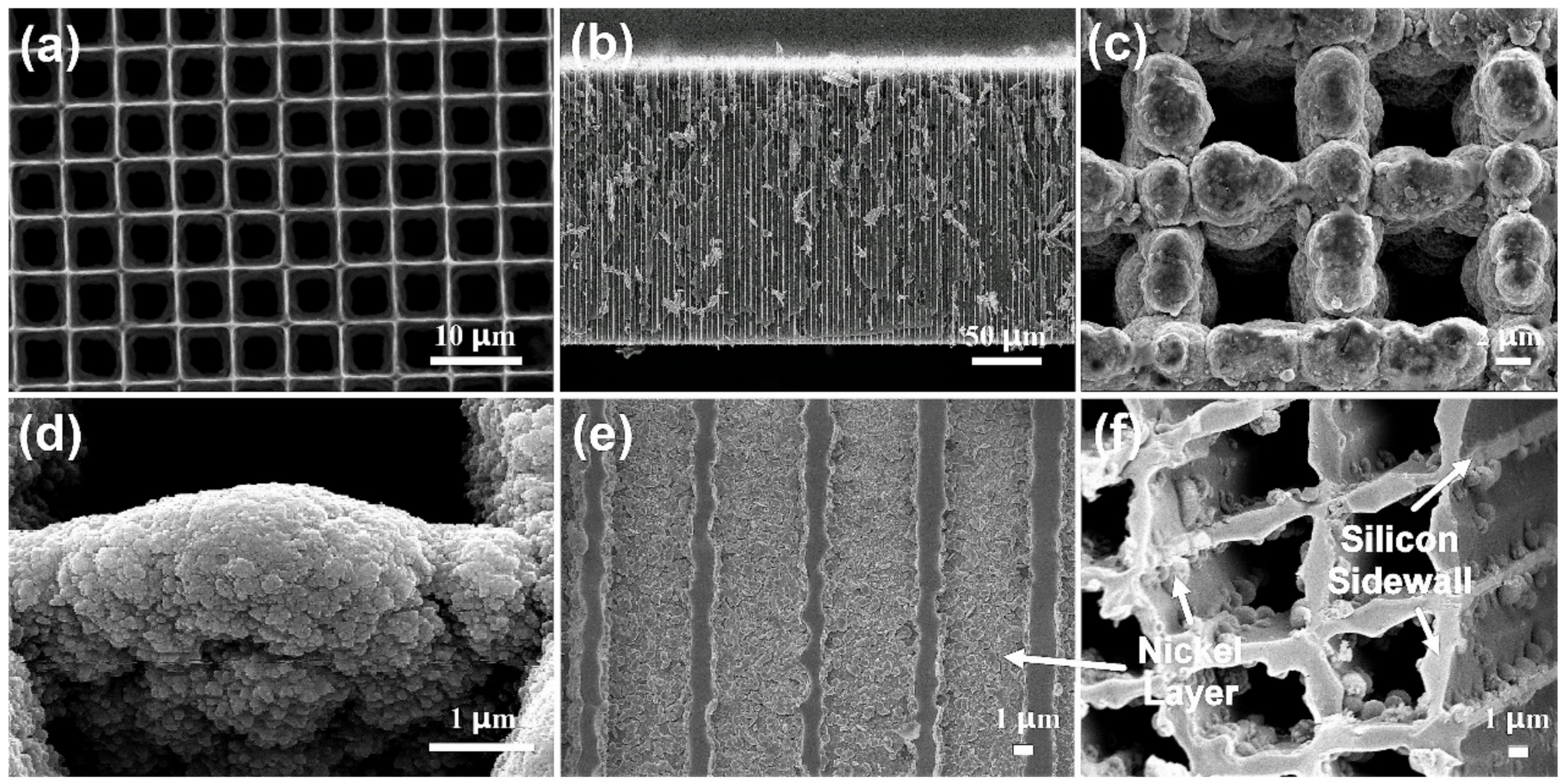 Sustainability 13 09896 g001