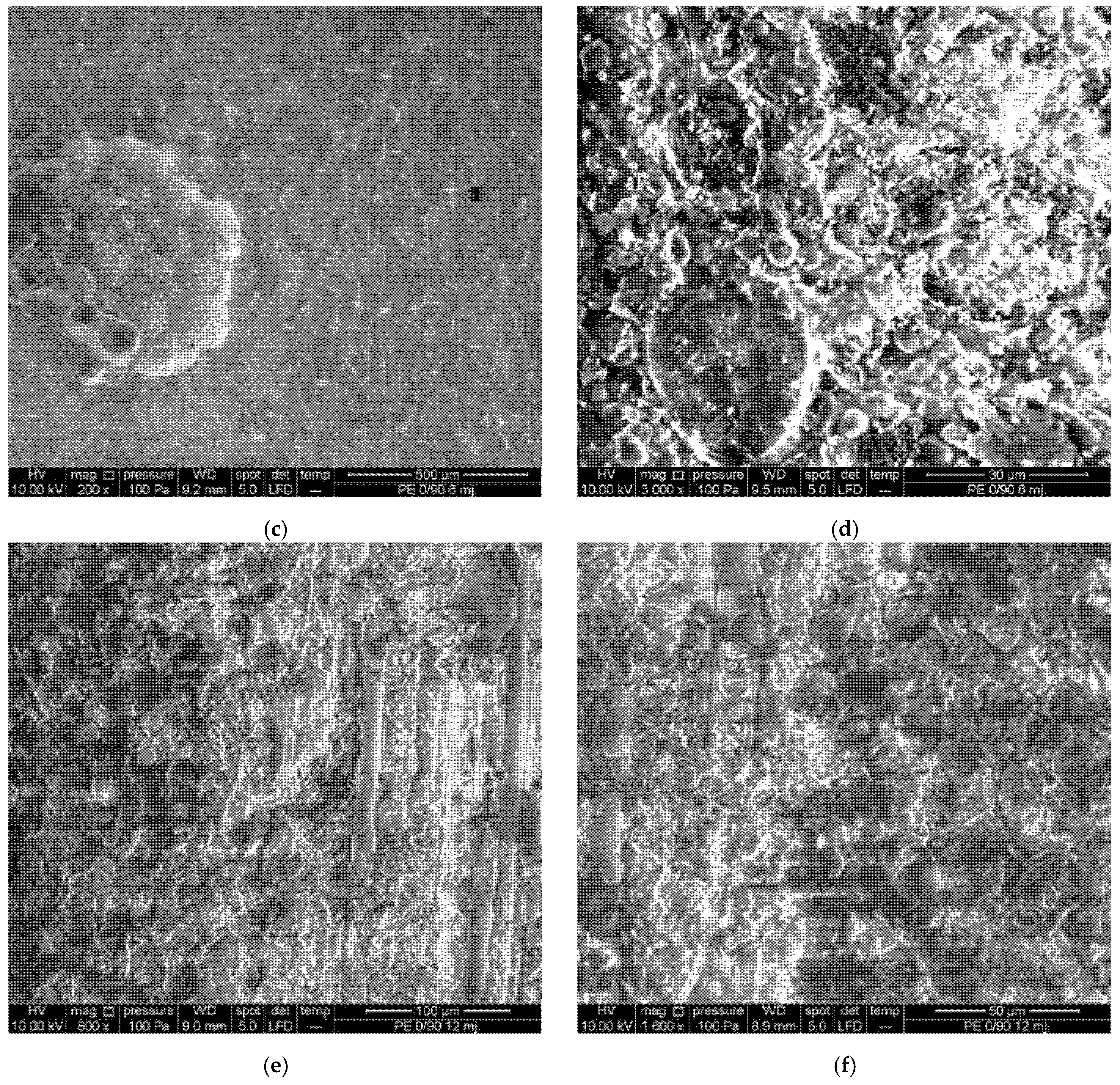 Sustainability 13 09934 g018b 550