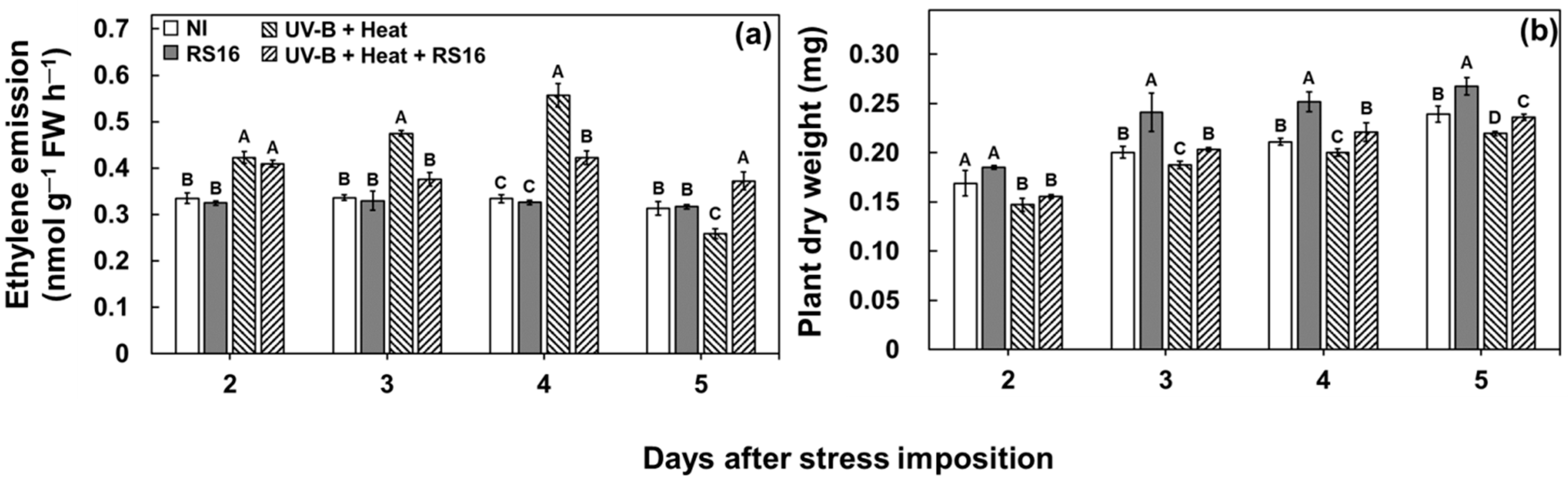 Sustainability Free Full Text Inoculation Of Acc Deaminase Producing Brevibacterium Linens Rs16 Enhances Tolerance Against Combined Uv B Radiation And Heat Stresses In Rice Oryza Sativa L Html Sustainability Free Full Text Inoculation Of Acc Deaminase Producing Brevibacterium Linens Rs16 Enhances Tolerance Against Combined Uv B Radiation And Heat Stresses In Rice Oryza Sativa L Html