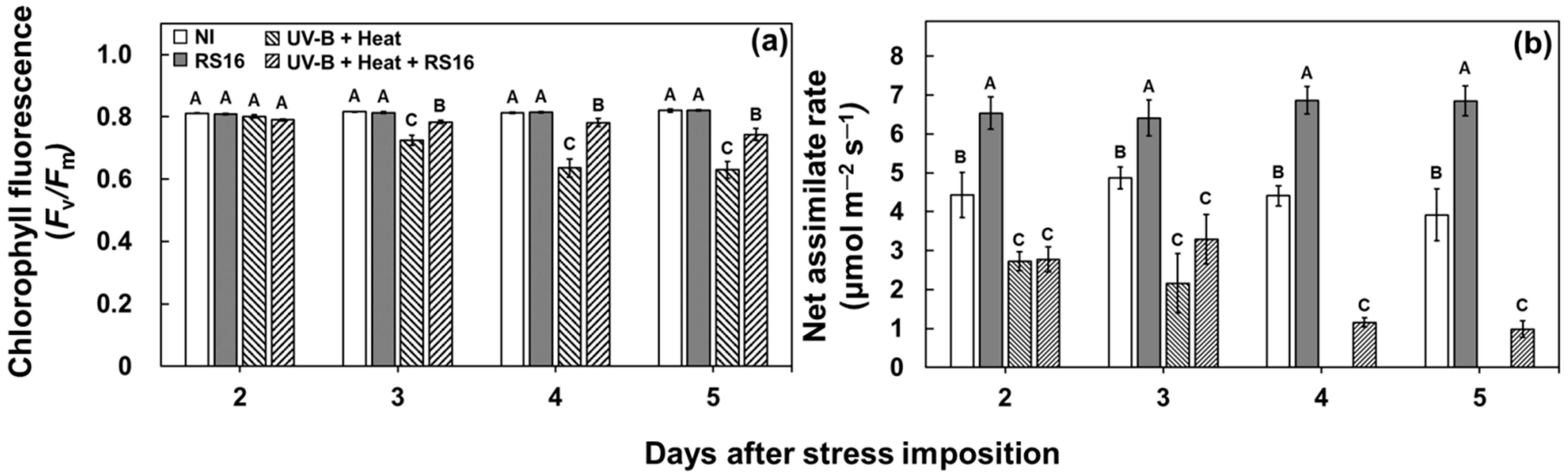 Sustainability 13 10013 g002 550