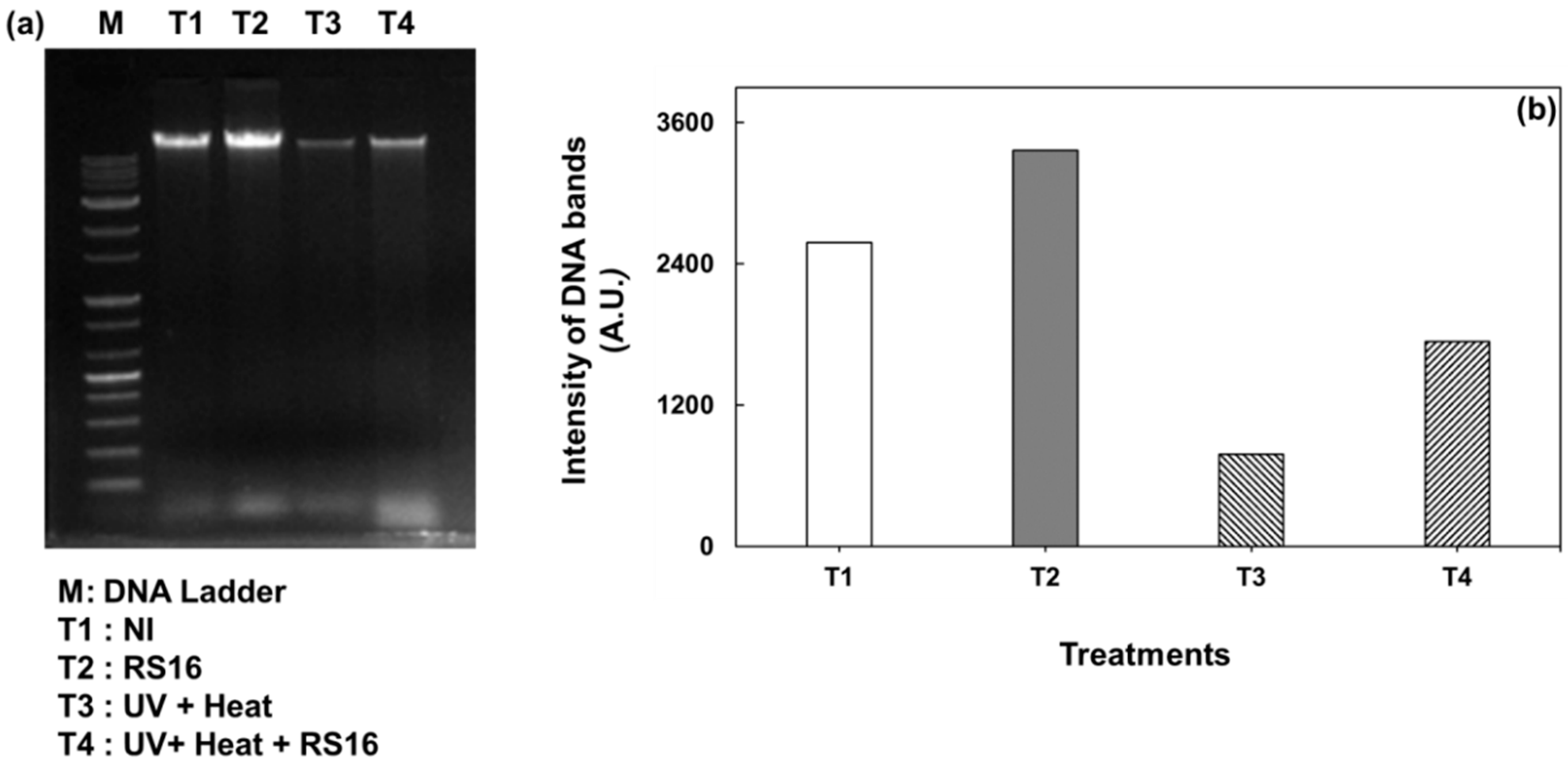 Sustainability 13 10013 g003 550