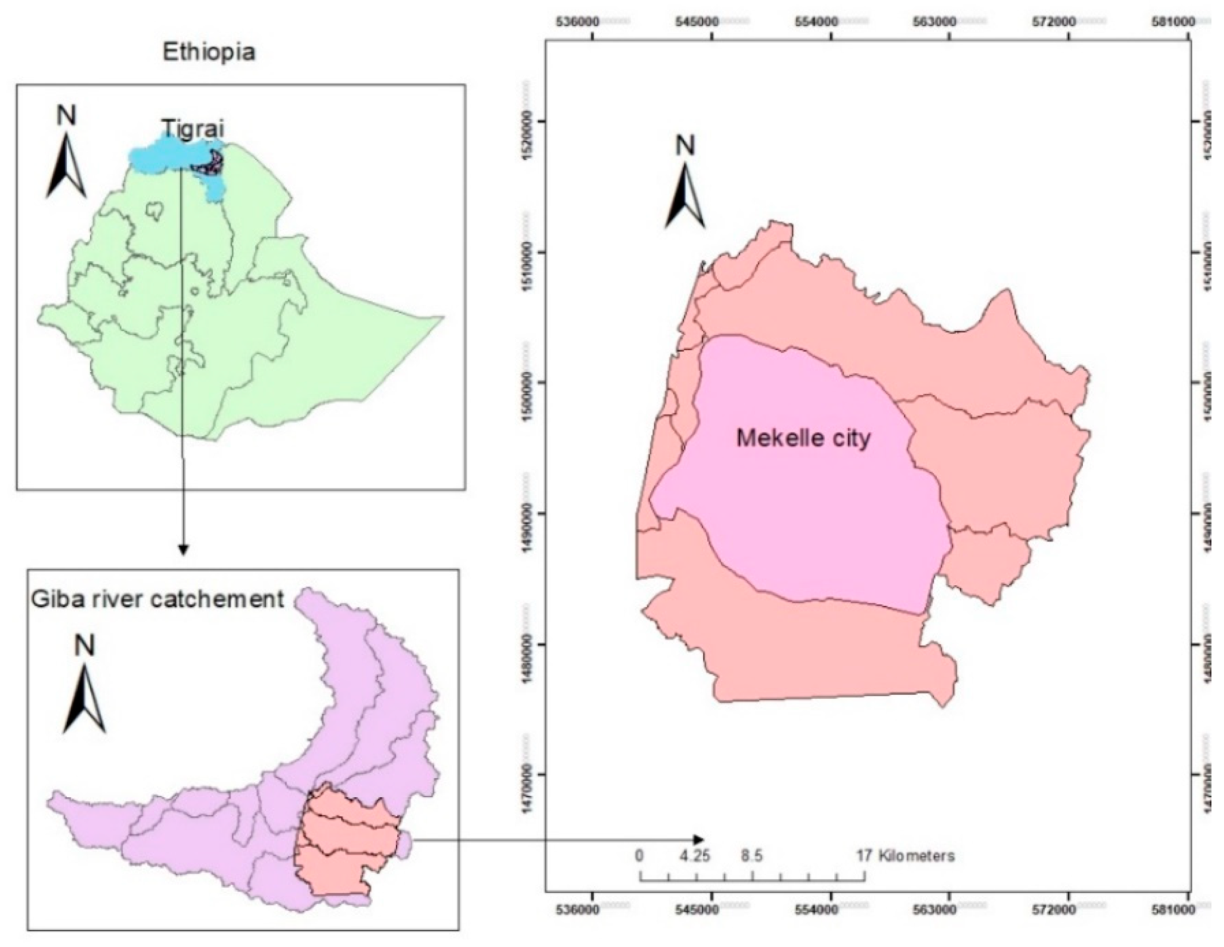 Sustainability 13 10015 g001