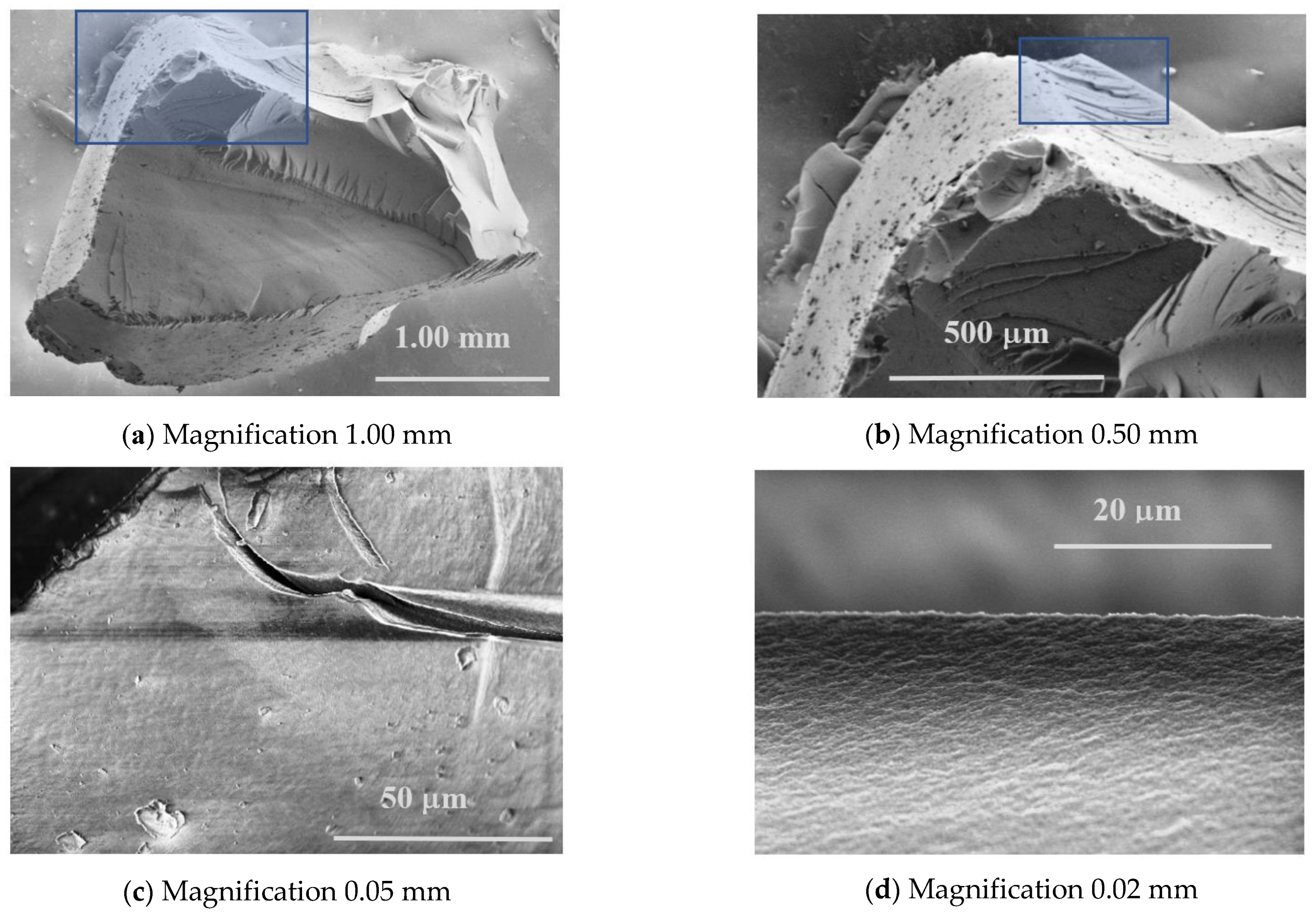 Sustainability 13 10035 g007 550