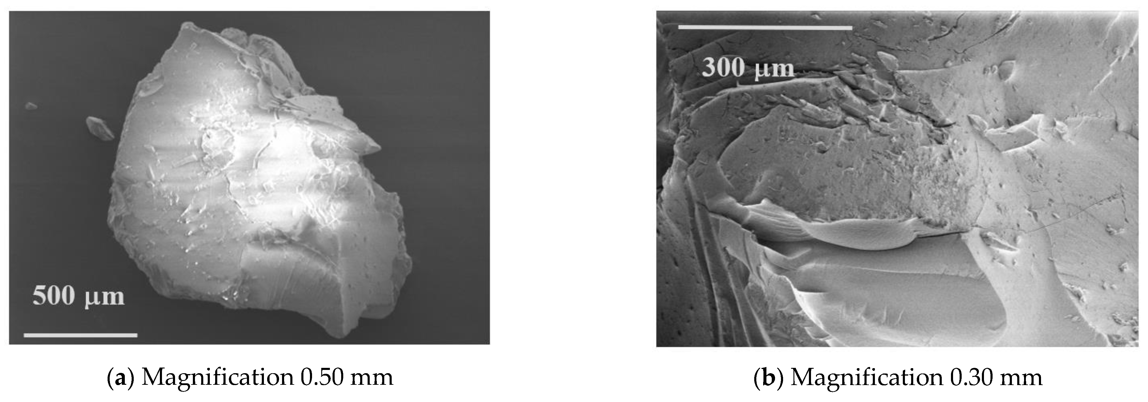 Sustainability 13 10035 g008a 550
