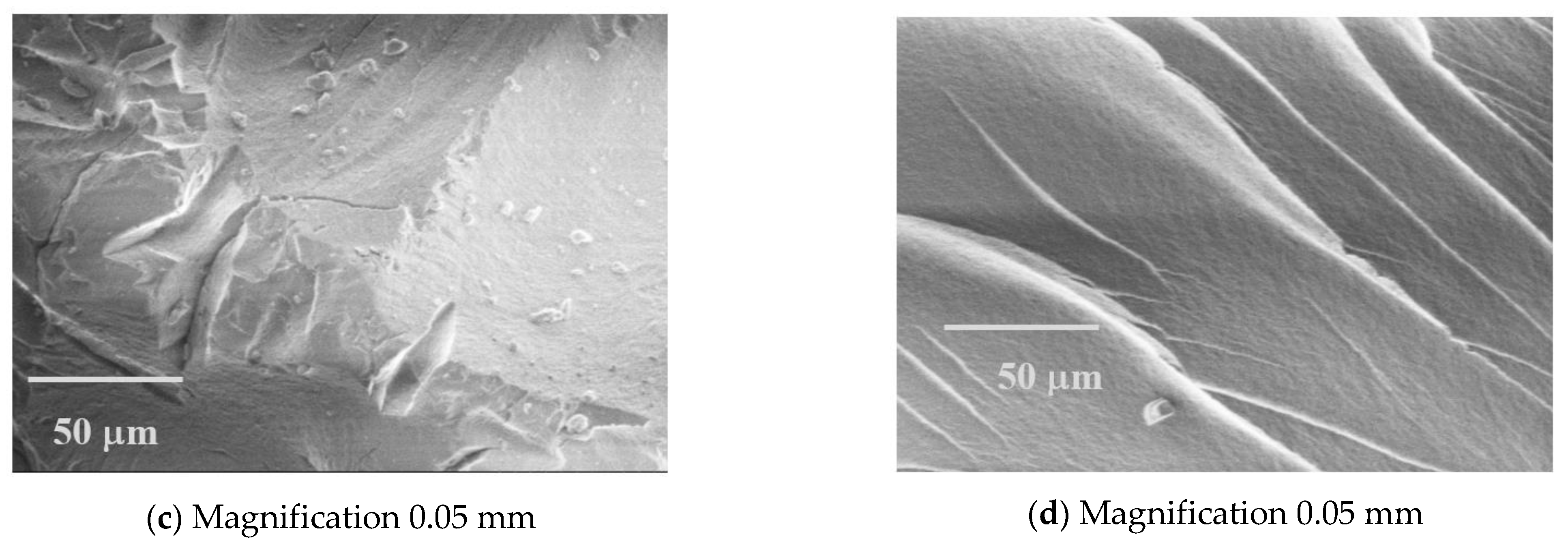 Sustainability 13 10035 g008b 550