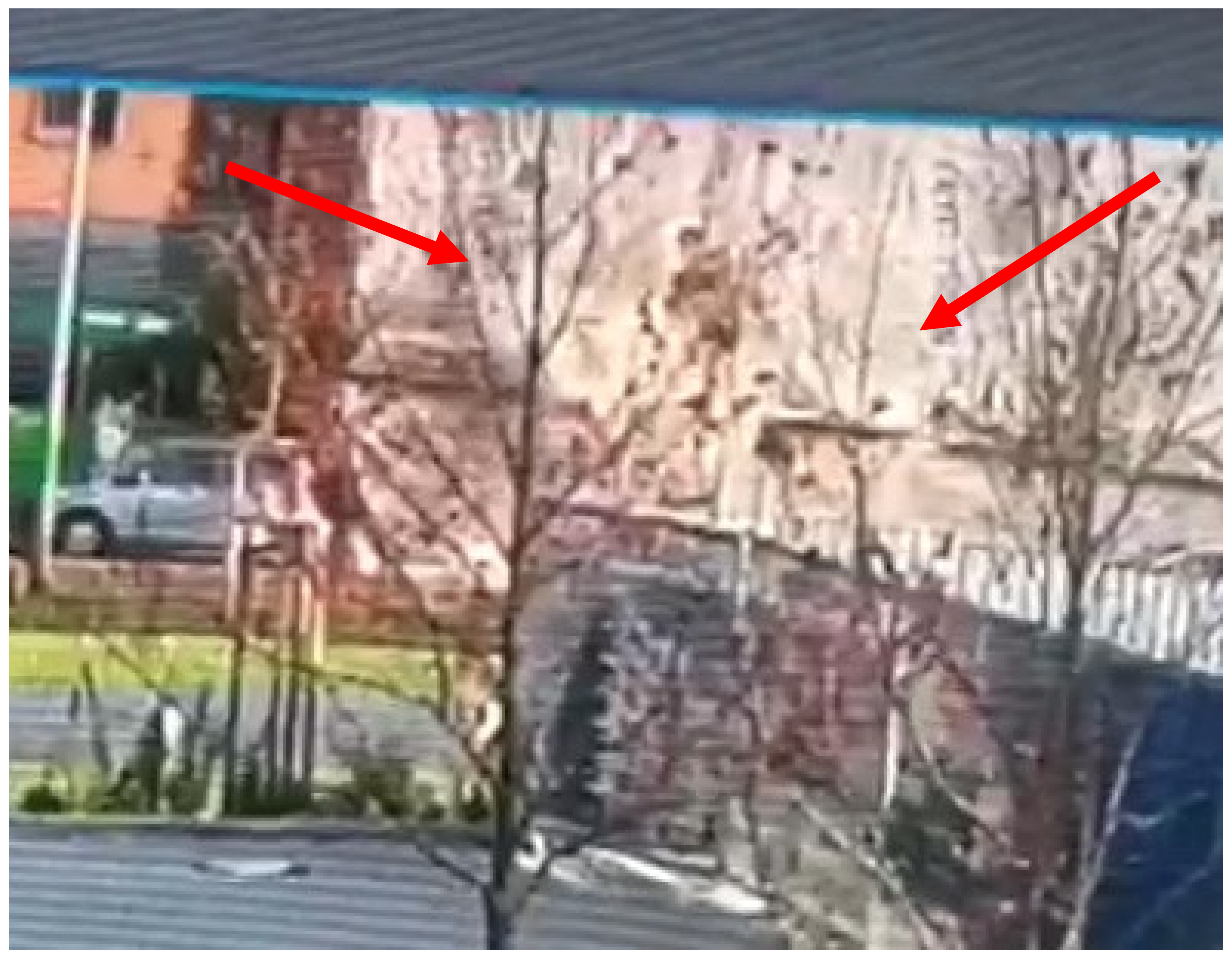 Sustainability 13 10058 g024