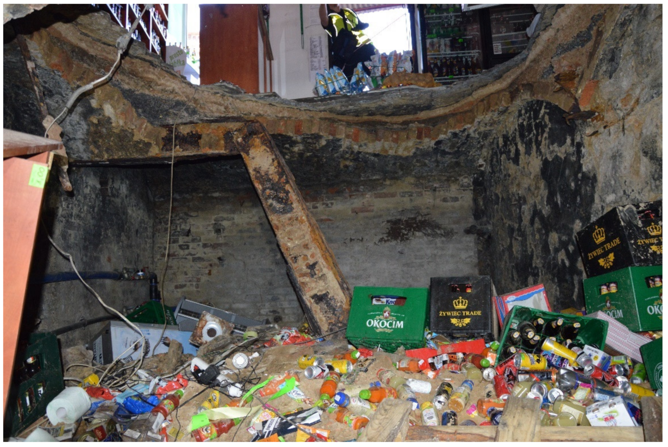 Sustainability 13 10058 g044