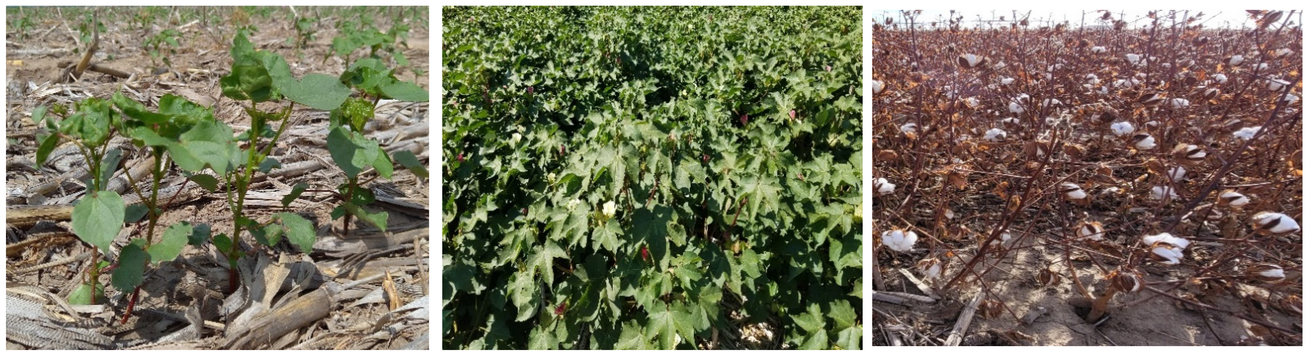 Sustainability 13 10070 g001 Sustainability 13 10070 g001