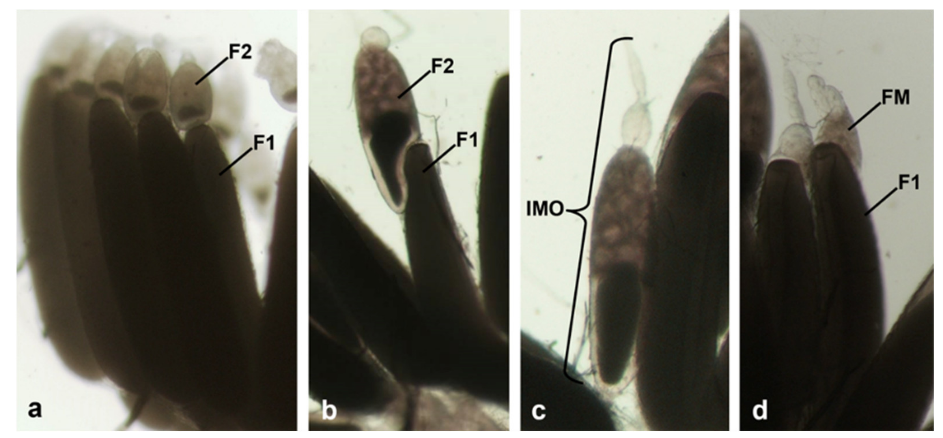 Sustainability 13 10122 g001