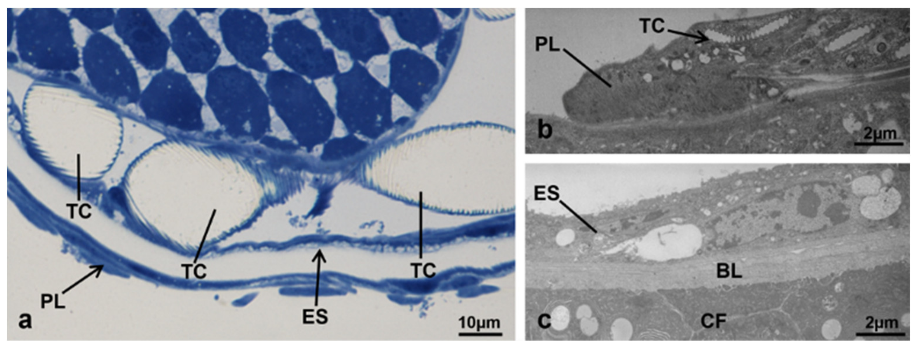 Sustainability 13 10122 g002