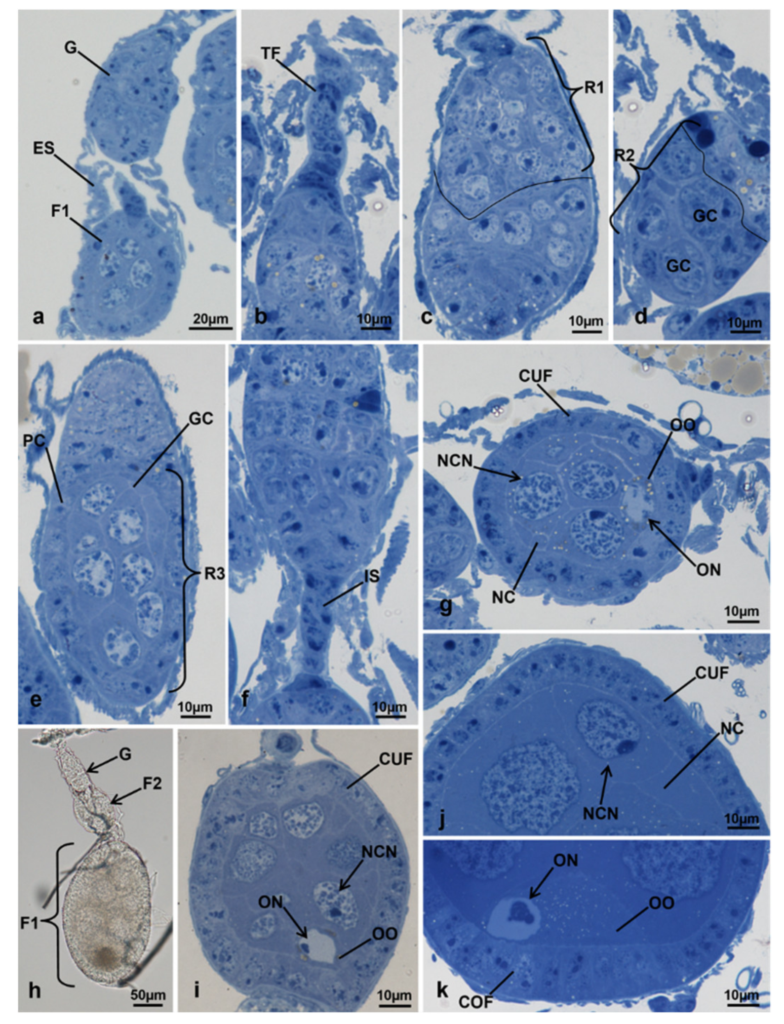 Sustainability 13 10122 g003