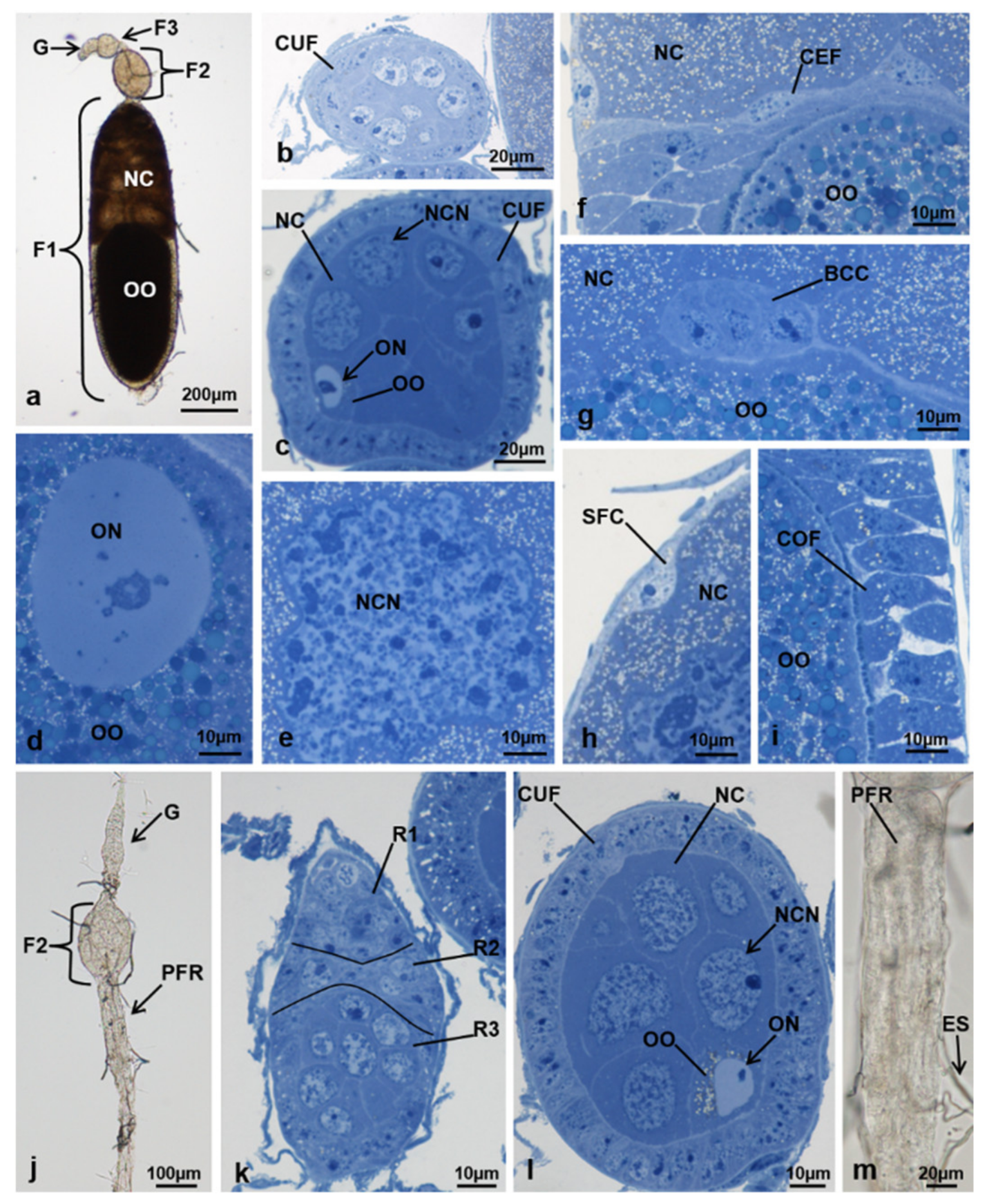 Sustainability 13 10122 g004