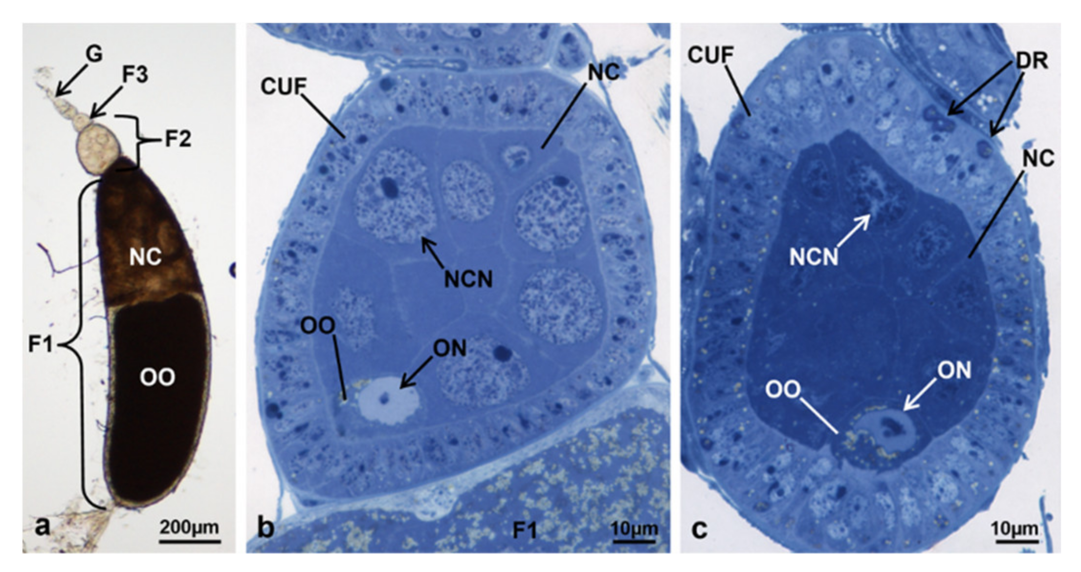 Sustainability 13 10122 g005
