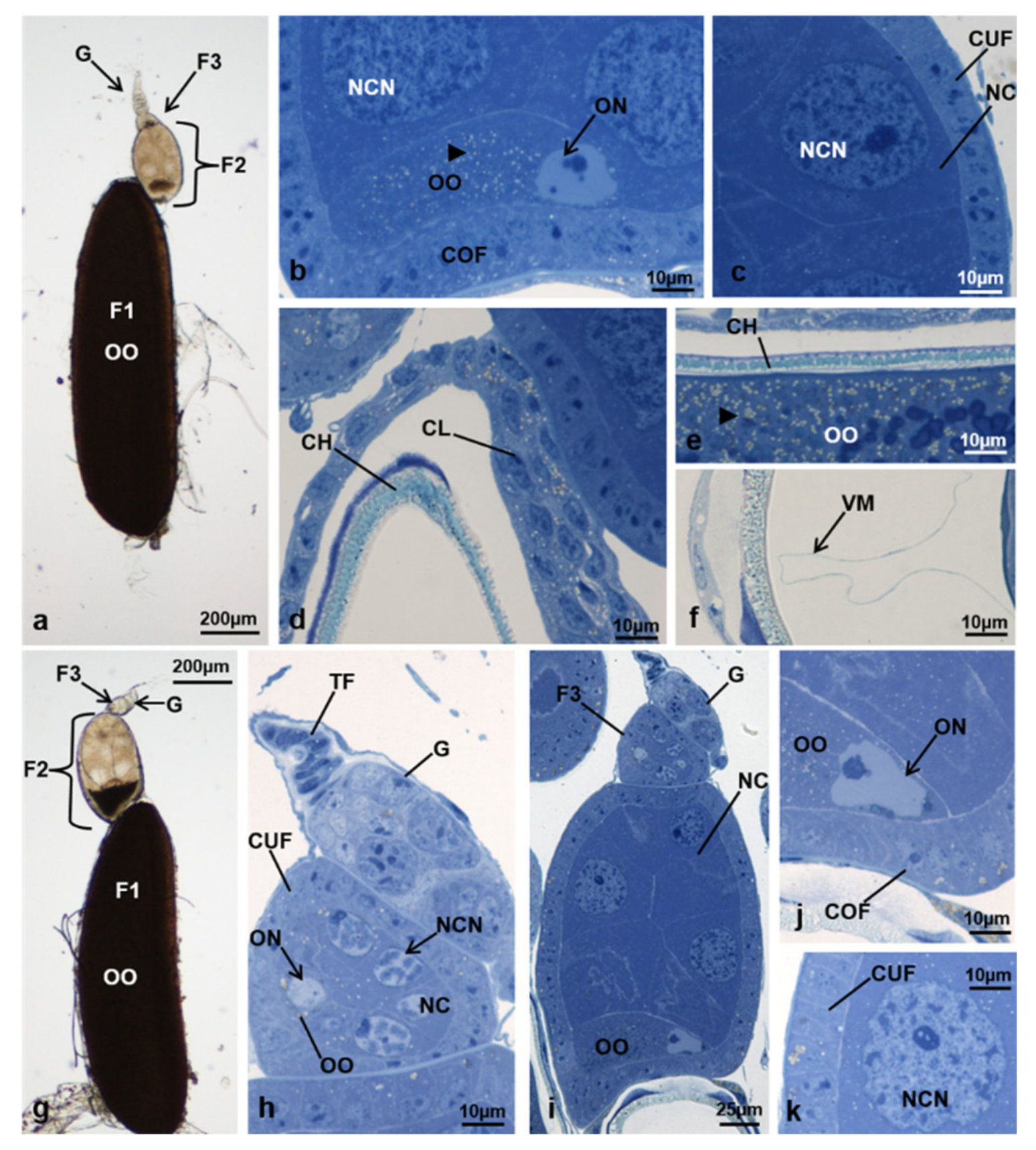 Sustainability 13 10122 g006
