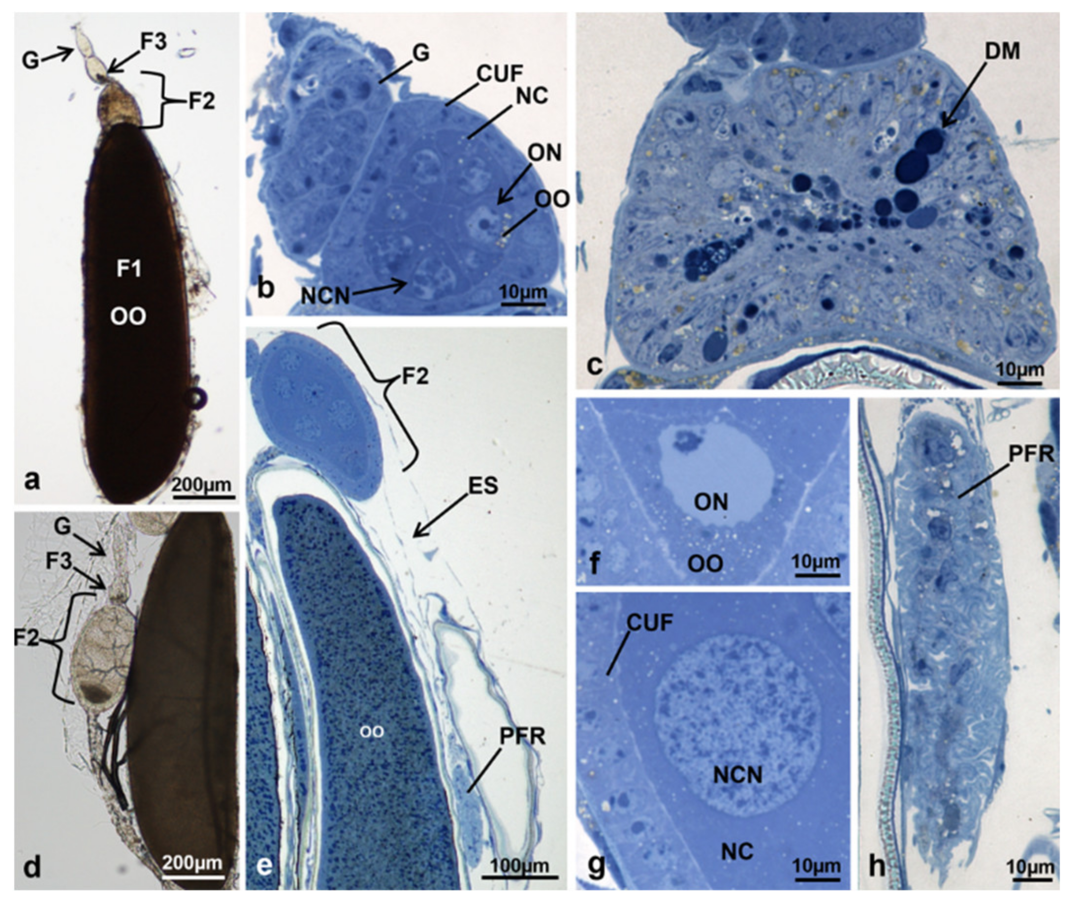 Sustainability 13 10122 g007