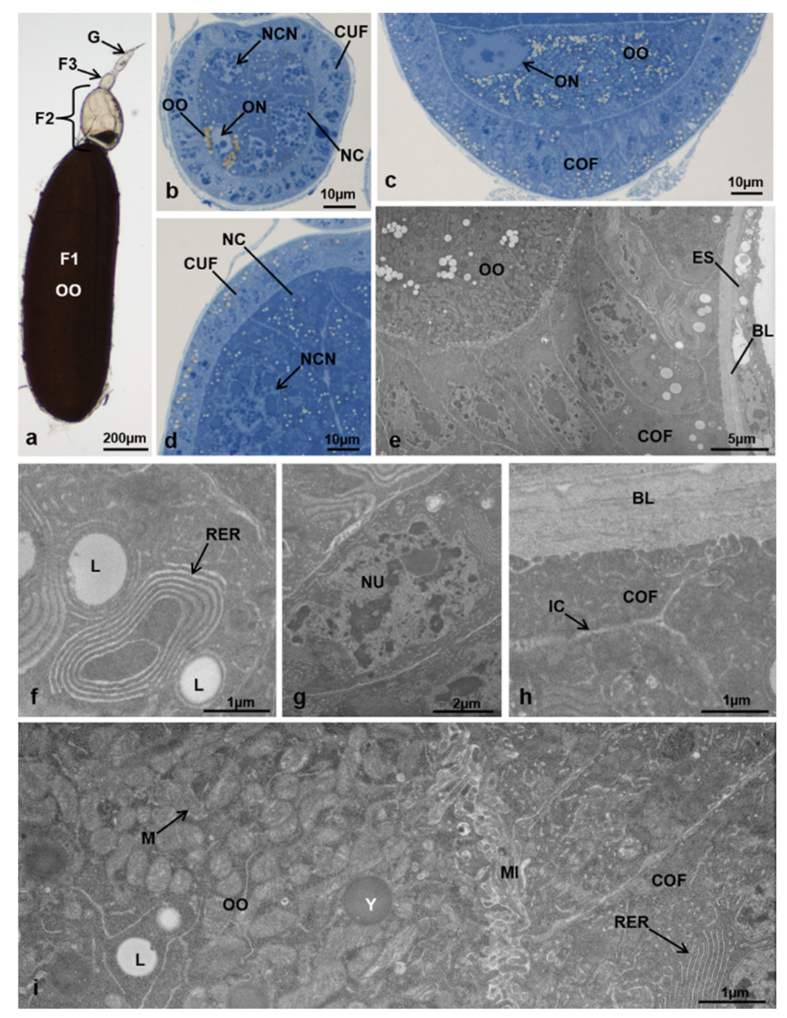 Sustainability 13 10122 g008