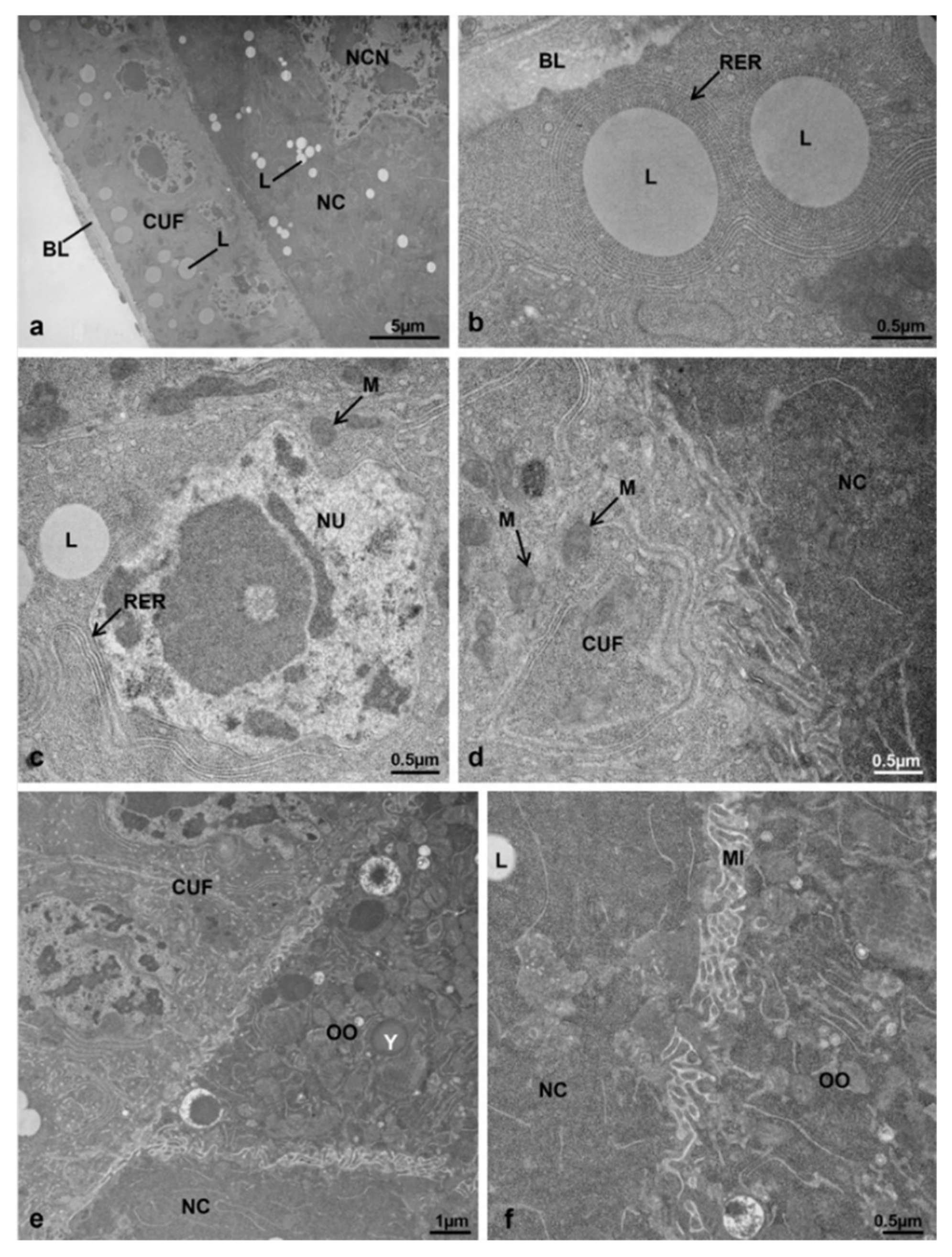 Sustainability 13 10122 g009
