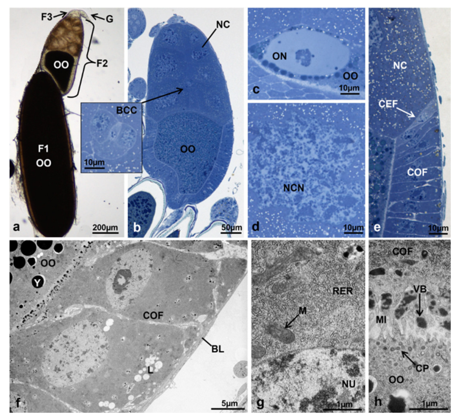 Sustainability 13 10122 g010