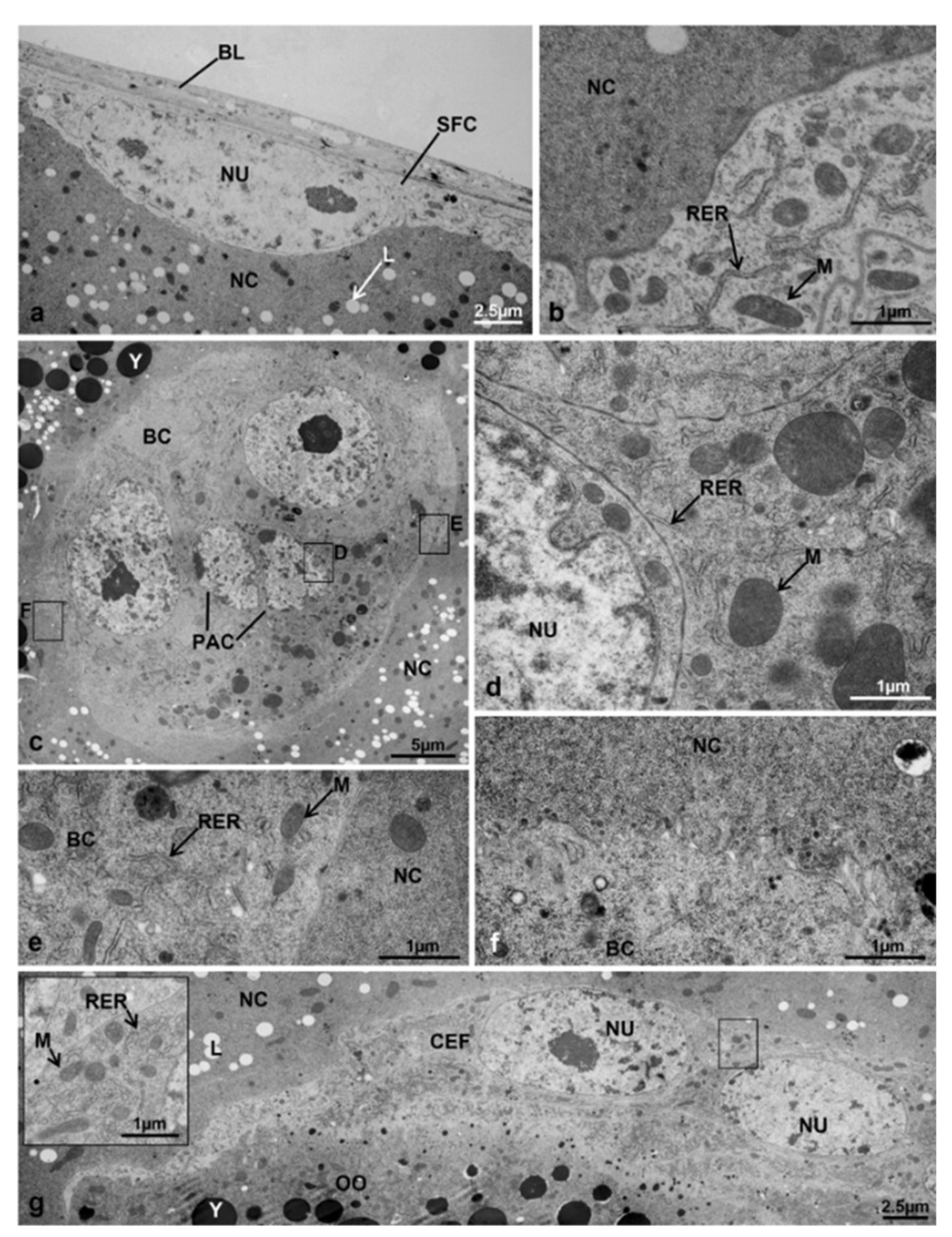 Sustainability 13 10122 g011