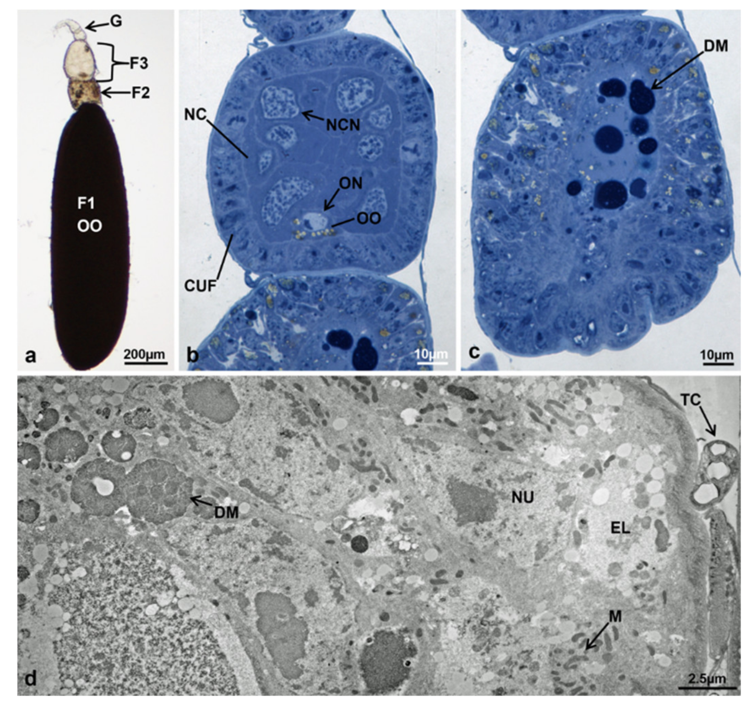 Sustainability 13 10122 g012