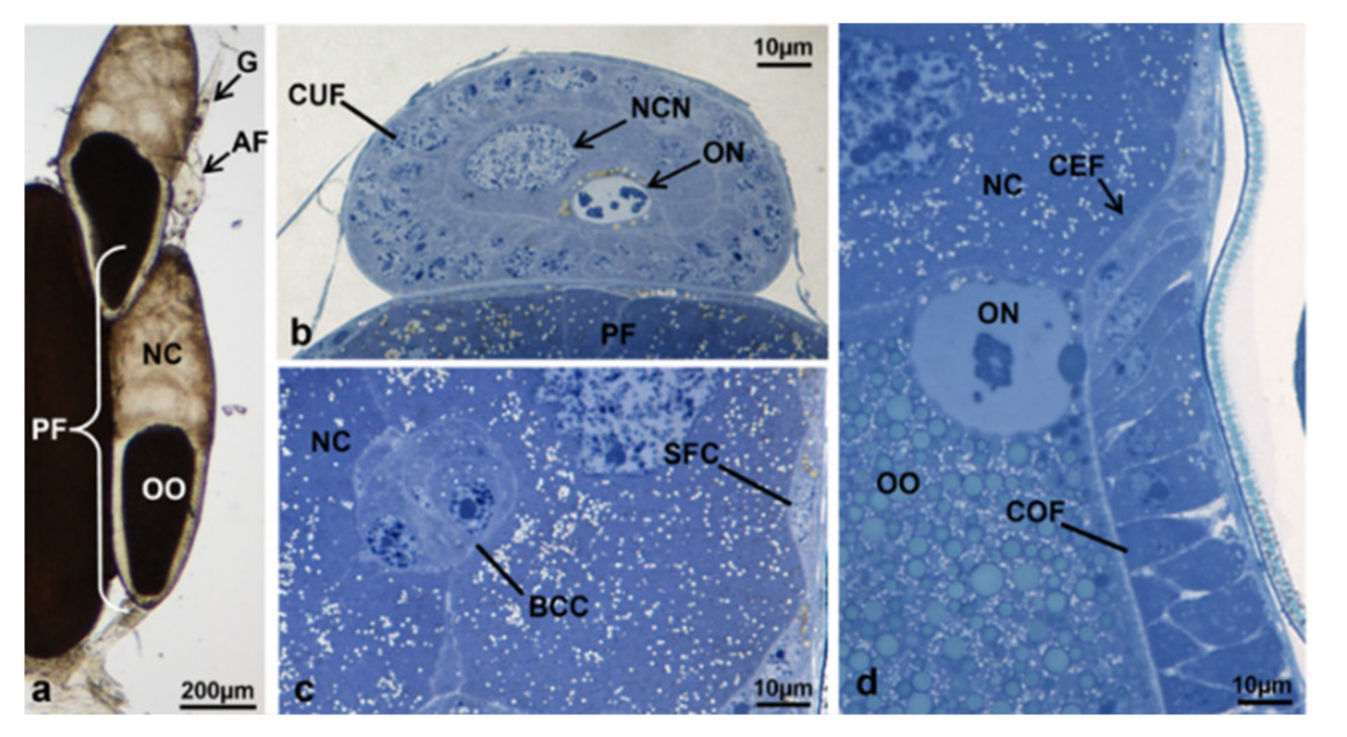 Sustainability 13 10122 g014
