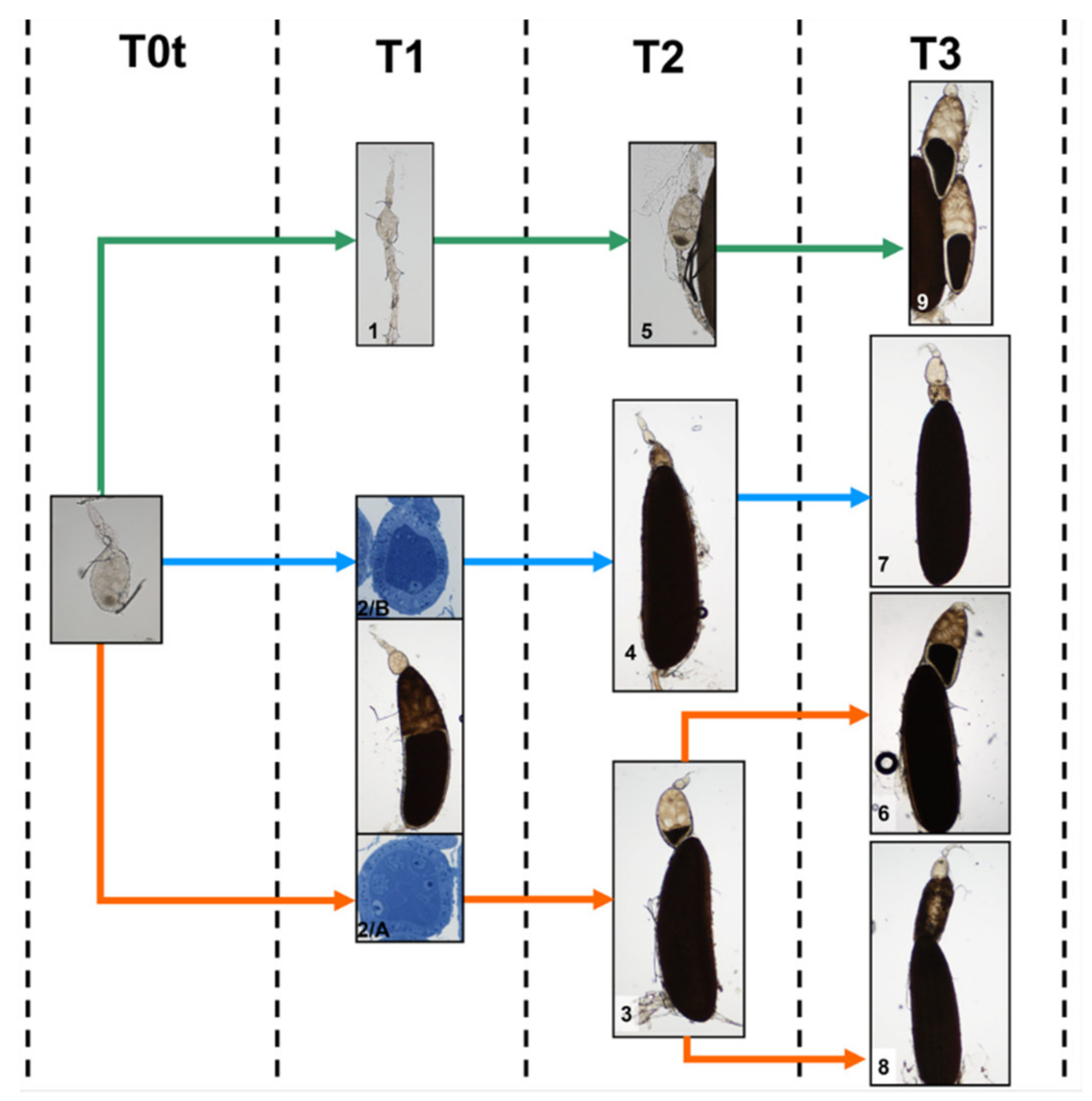 Sustainability 13 10122 g015