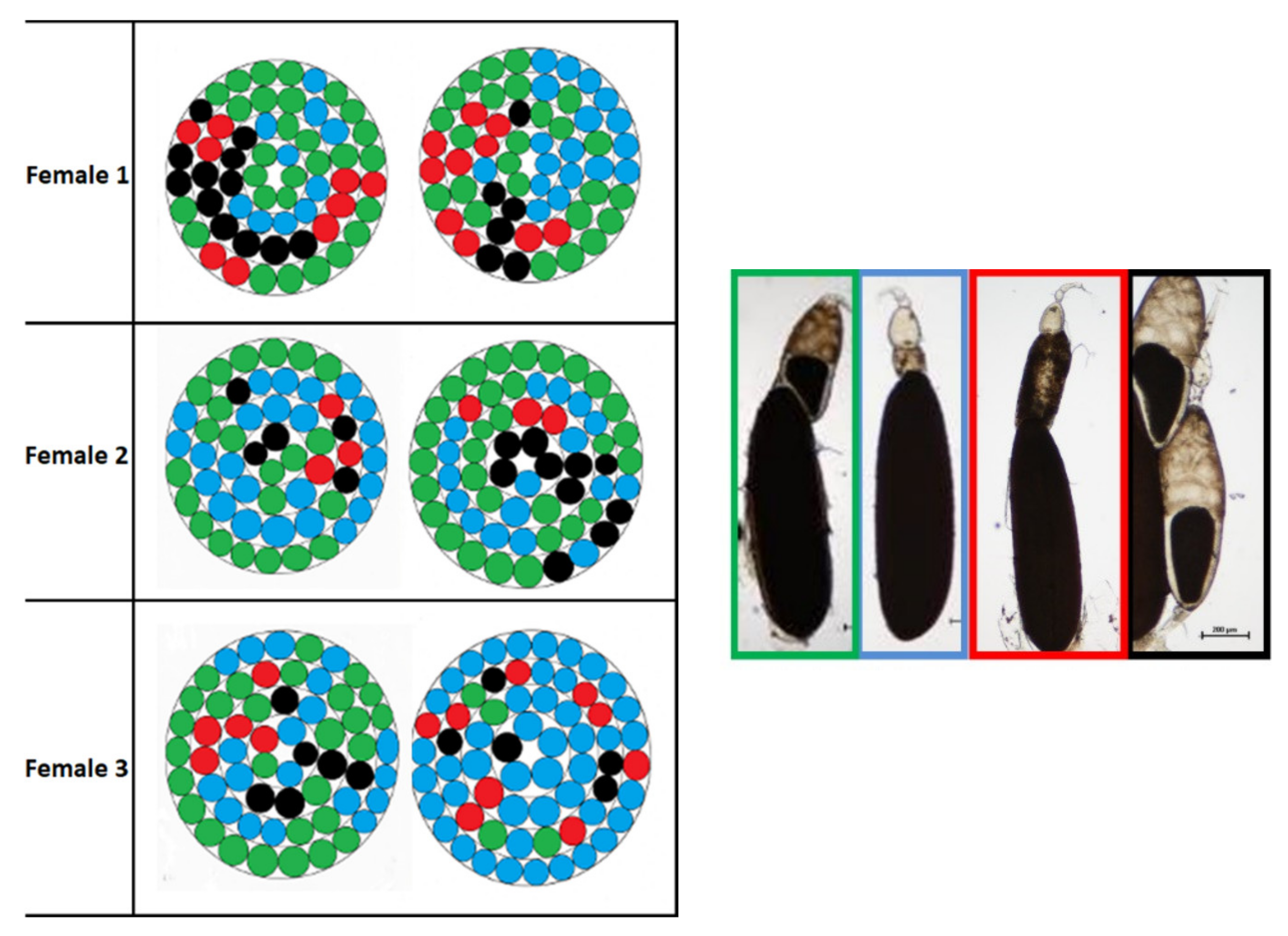 Sustainability 13 10122 g016