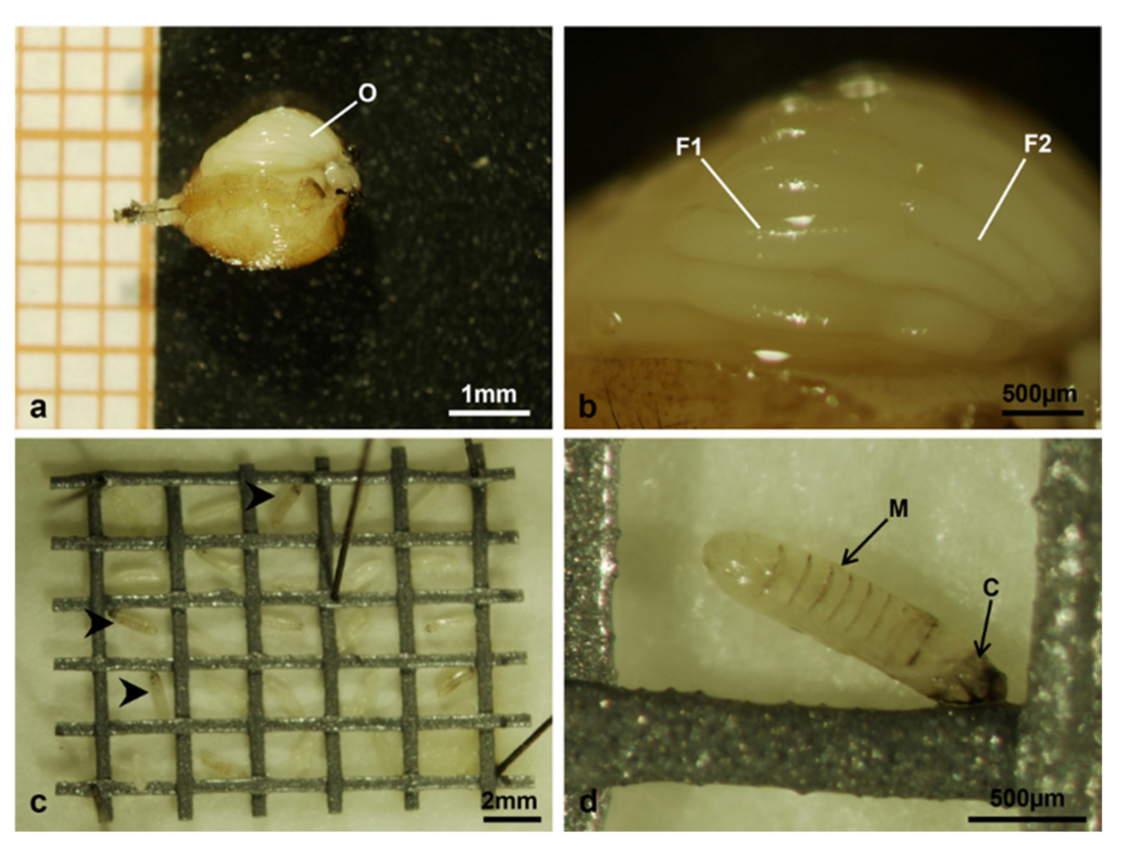 Sustainability 13 10122 g017