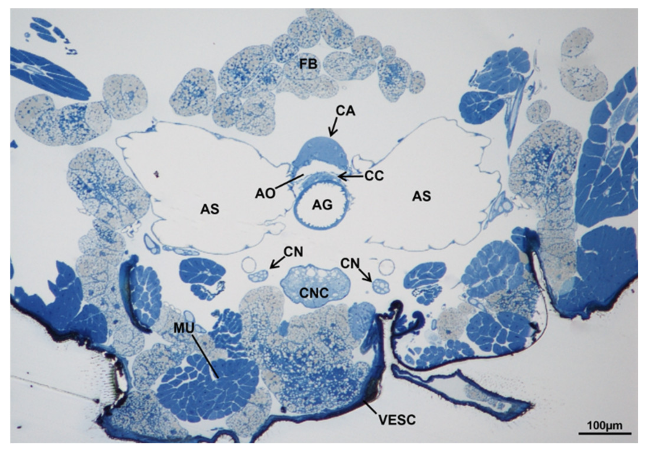 Sustainability 13 10122 g018