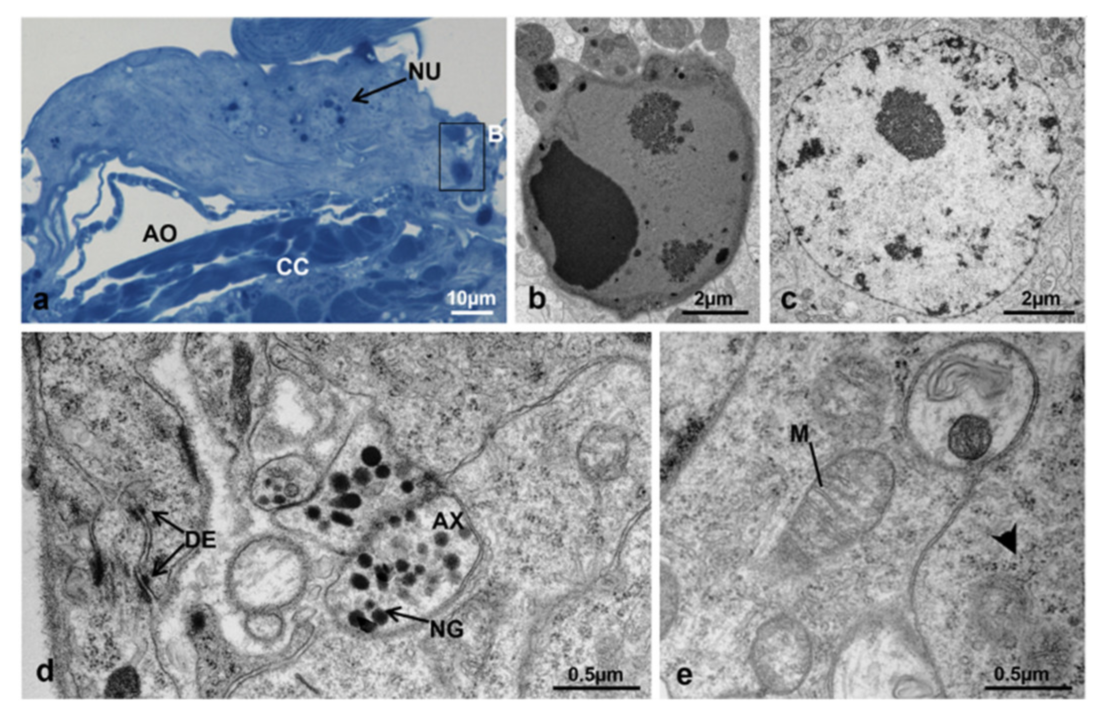Sustainability 13 10122 g019