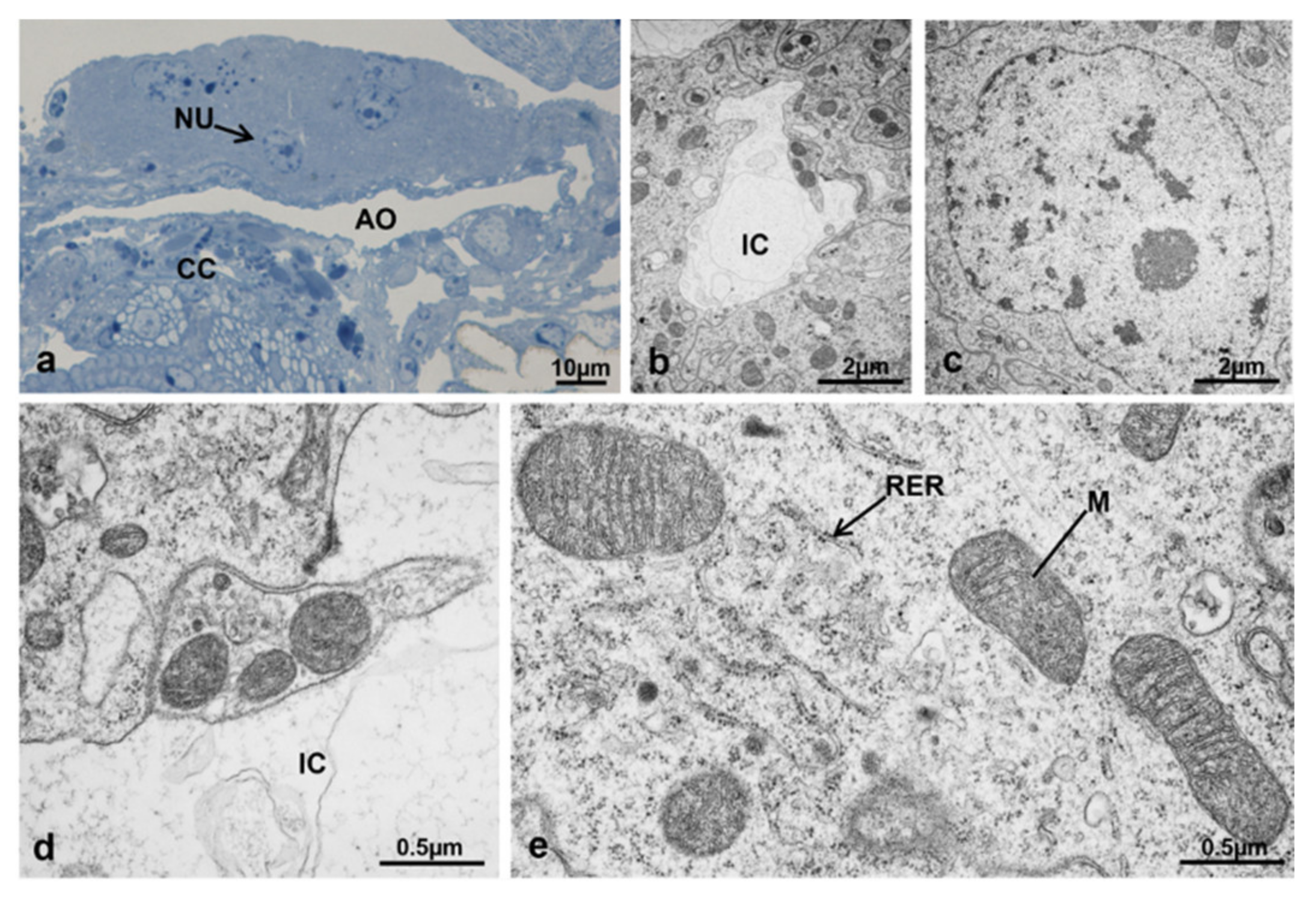 Sustainability 13 10122 g020