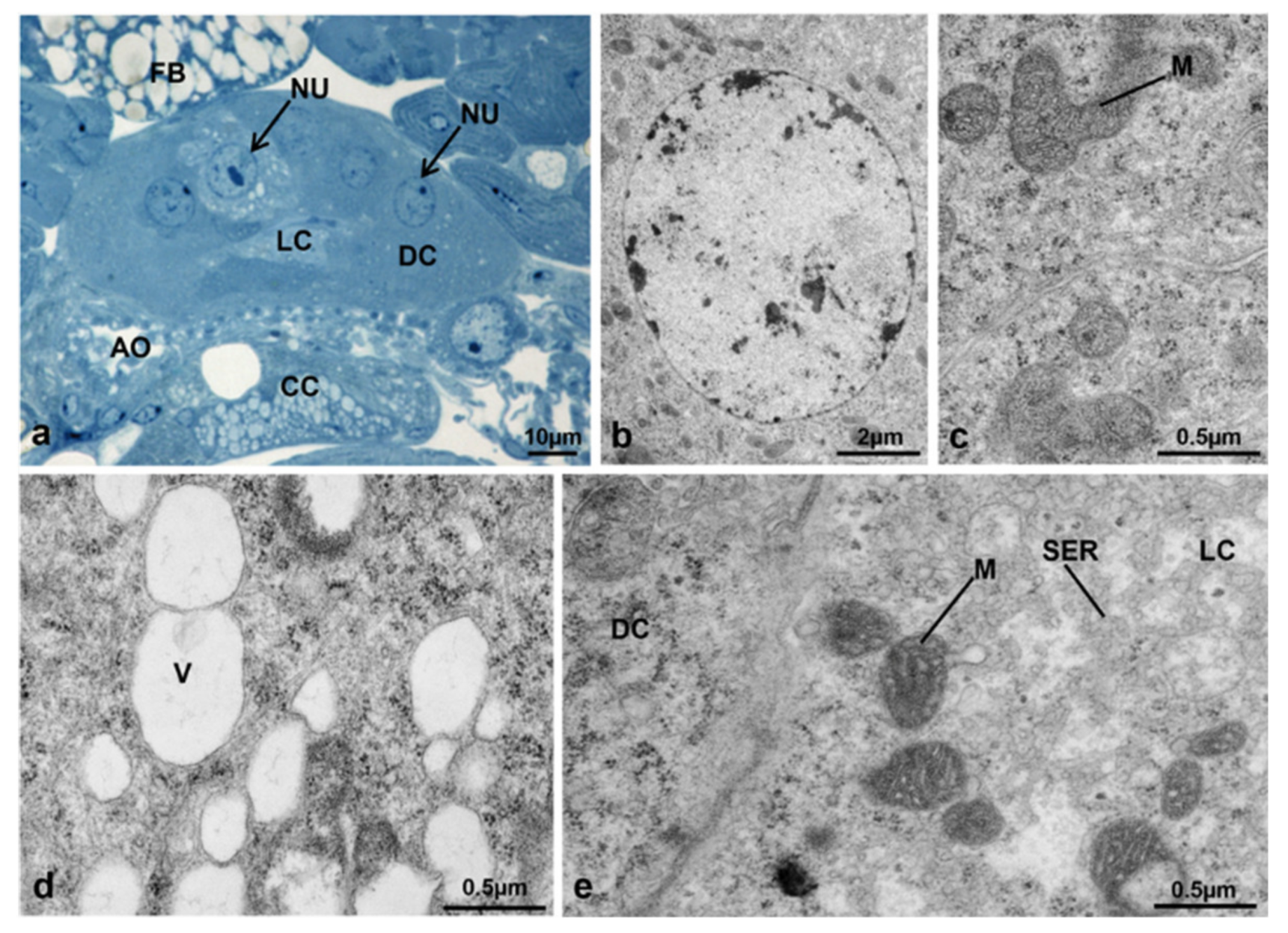 Sustainability 13 10122 g021