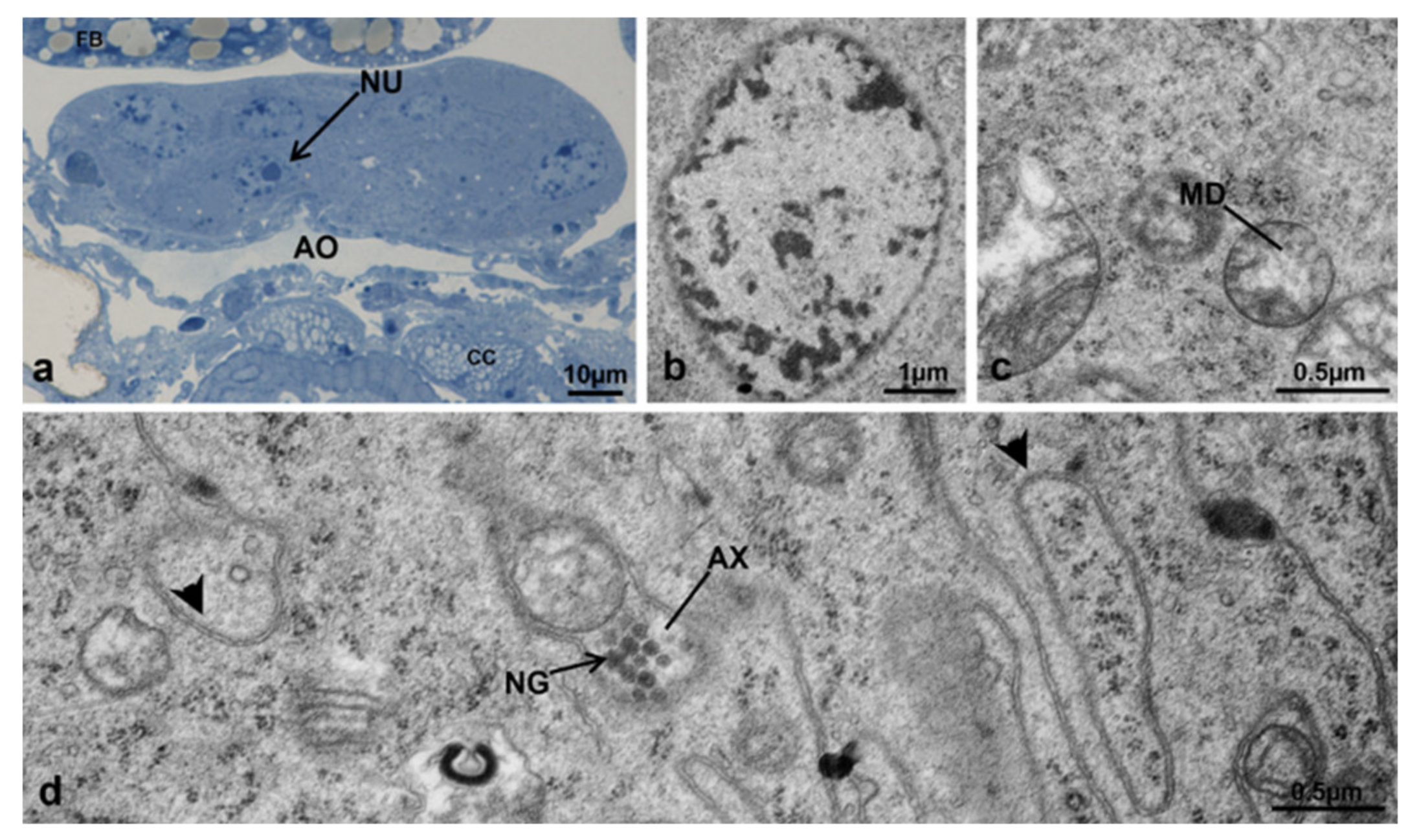 Sustainability 13 10122 g022