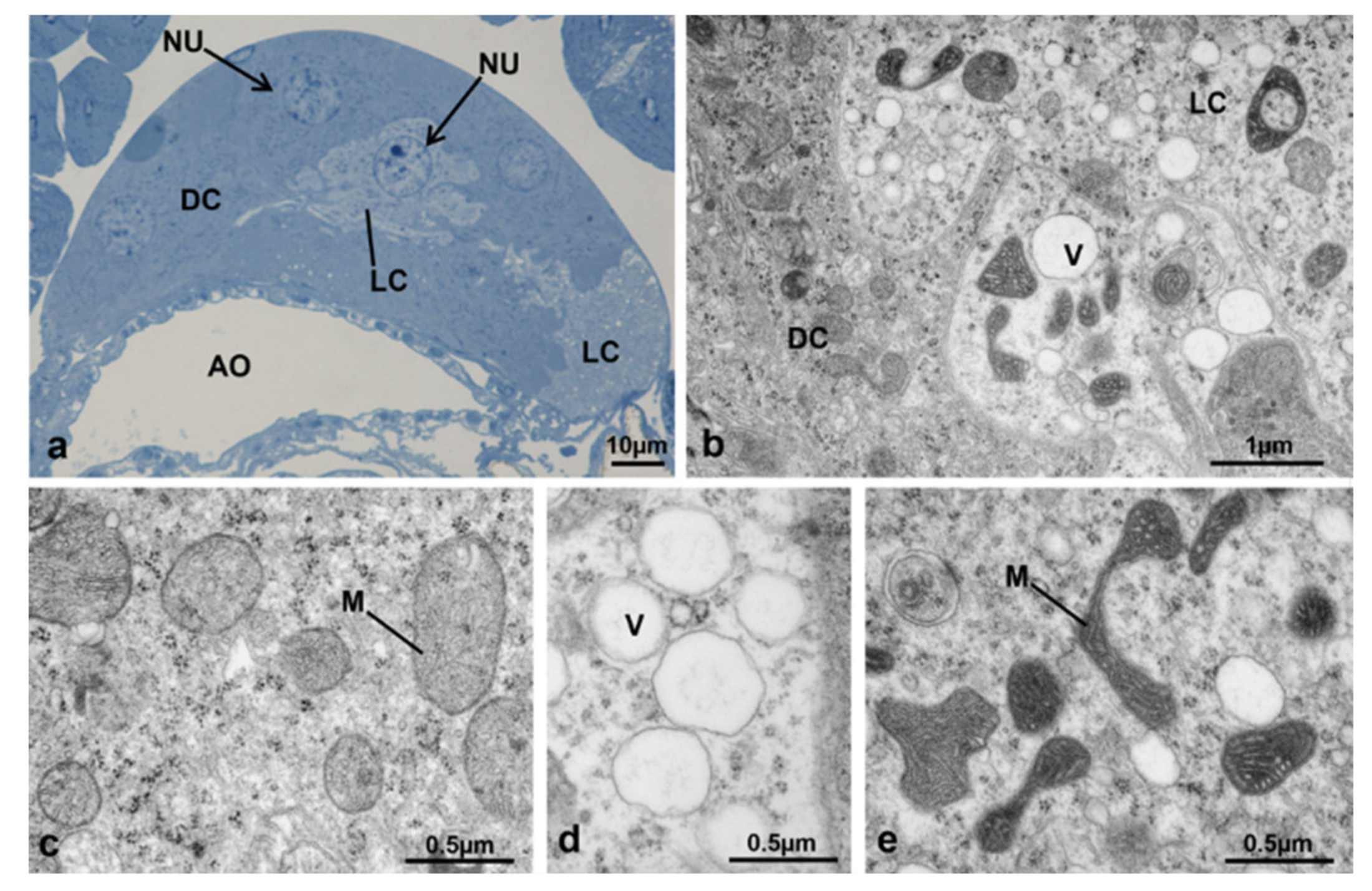 Sustainability 13 10122 g023