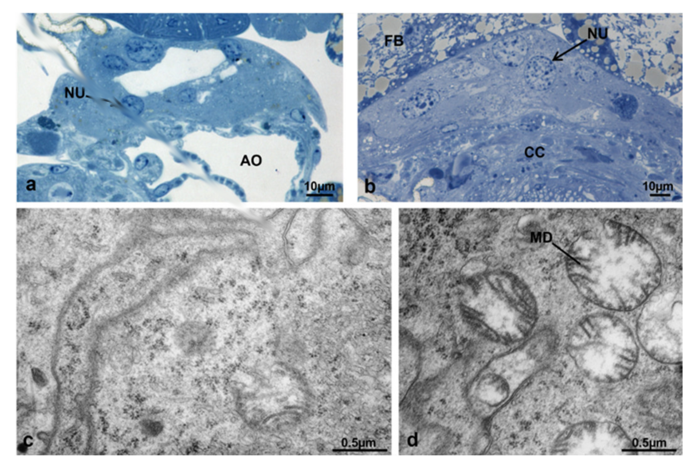 Sustainability 13 10122 g024
