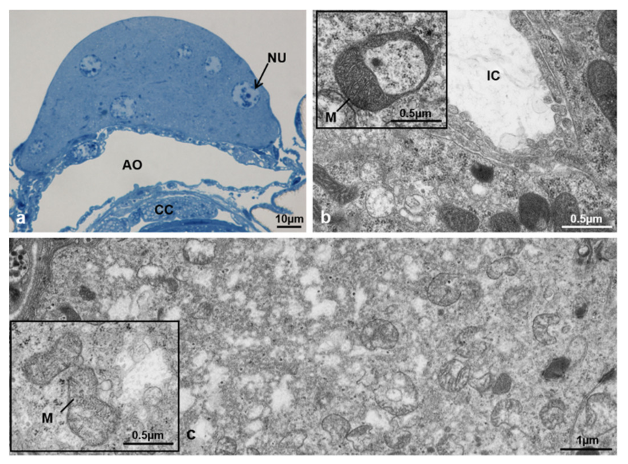 Sustainability 13 10122 g025