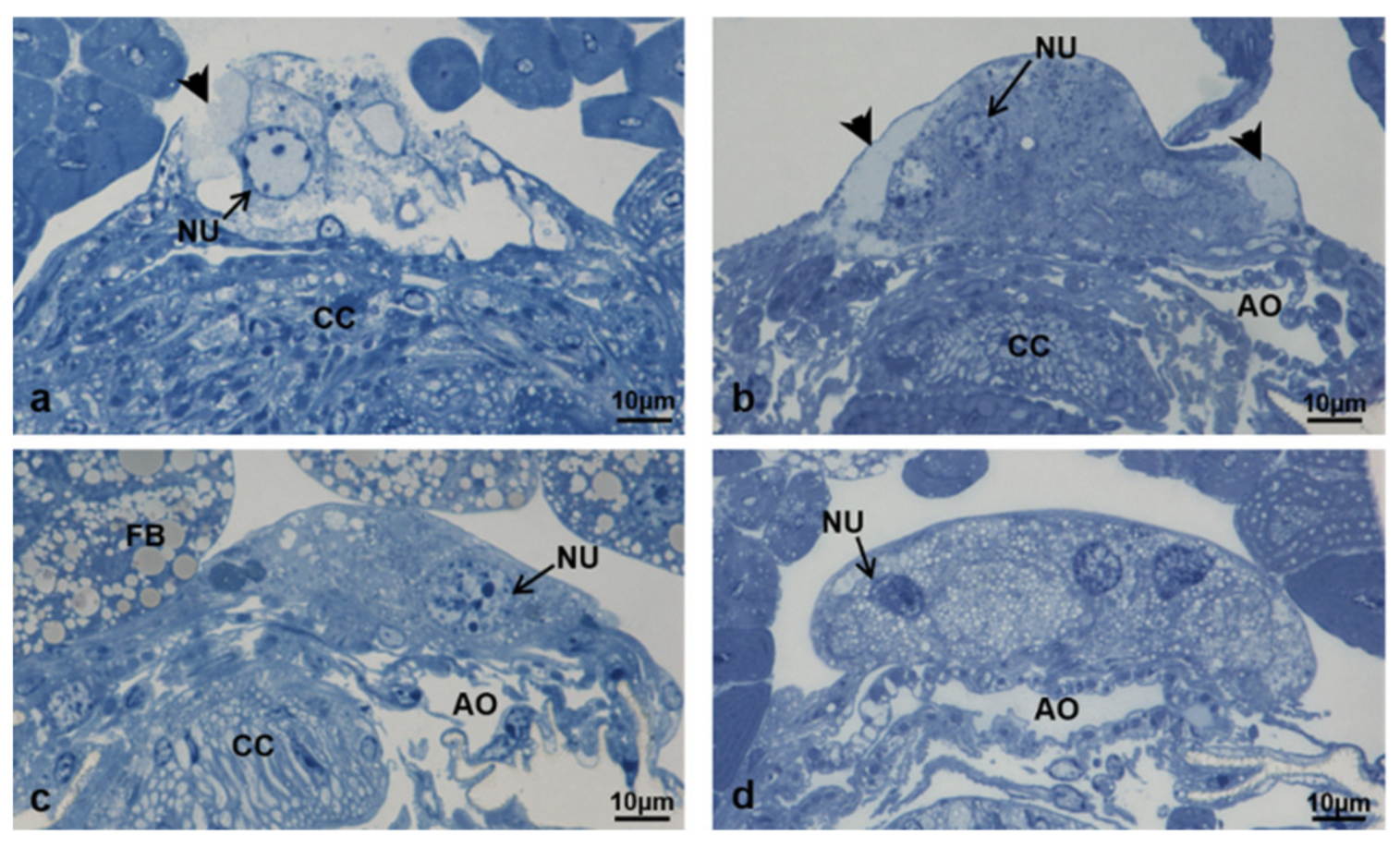 Sustainability 13 10122 g026