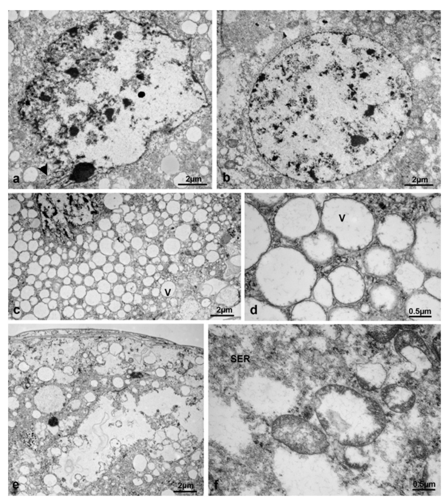 Sustainability 13 10122 g027