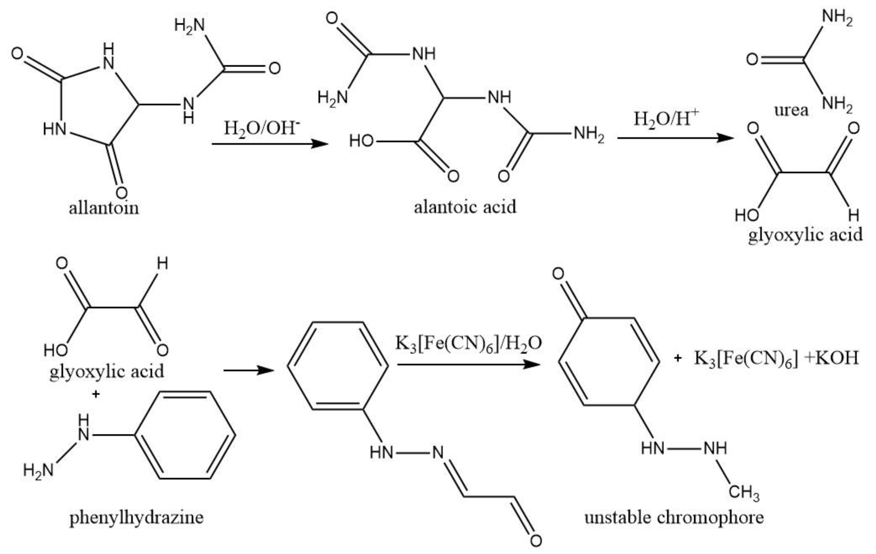 Sustainability 13 10170 g003