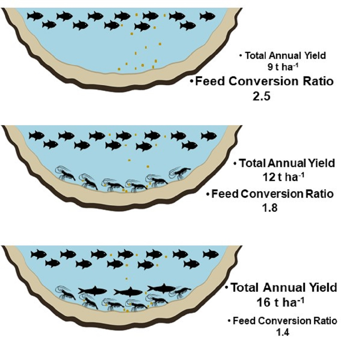 Sustainability Free Full Text Improving The Efficiency Of Lambari Production And Diet Assimilation Using Integrated Aquaculture With Benthic Species Html Sustainability Free Full Text Improving The Efficiency Of Lambari Production And Diet Assimilation Using Integrated Aquaculture With Benthic Species Html