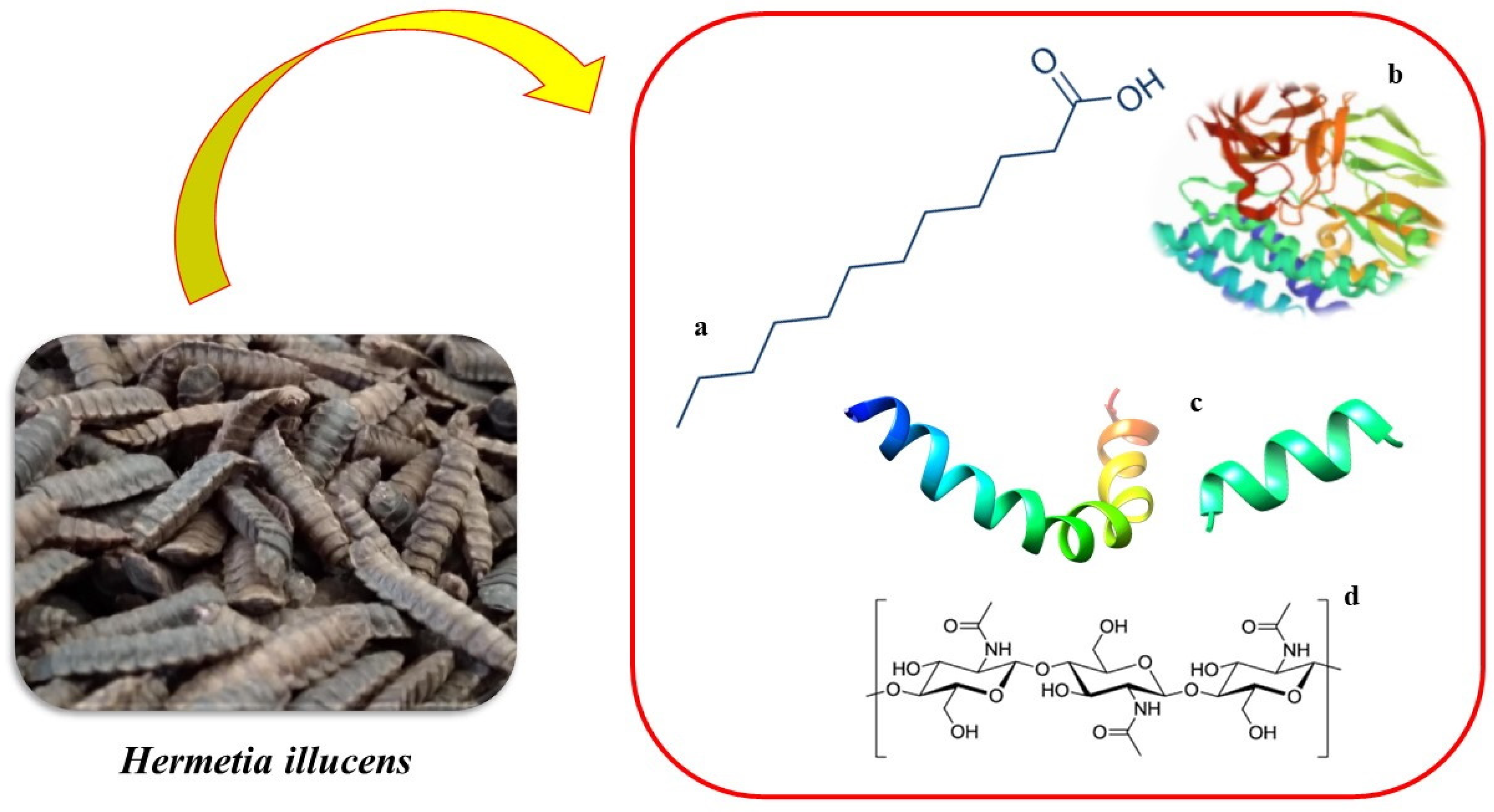 Sustainability 13 10198 g002