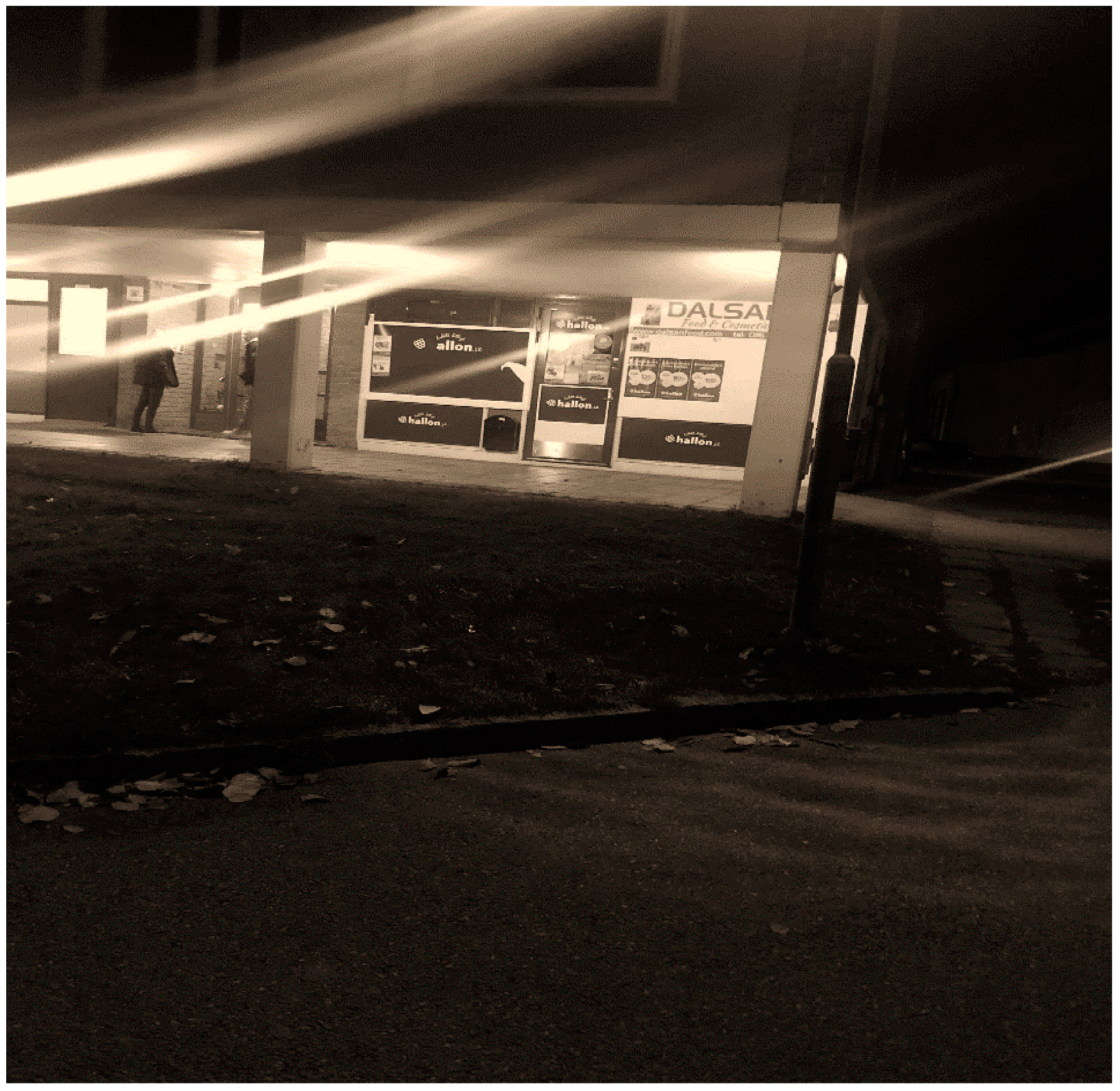 Sustainability 13 10205 g009