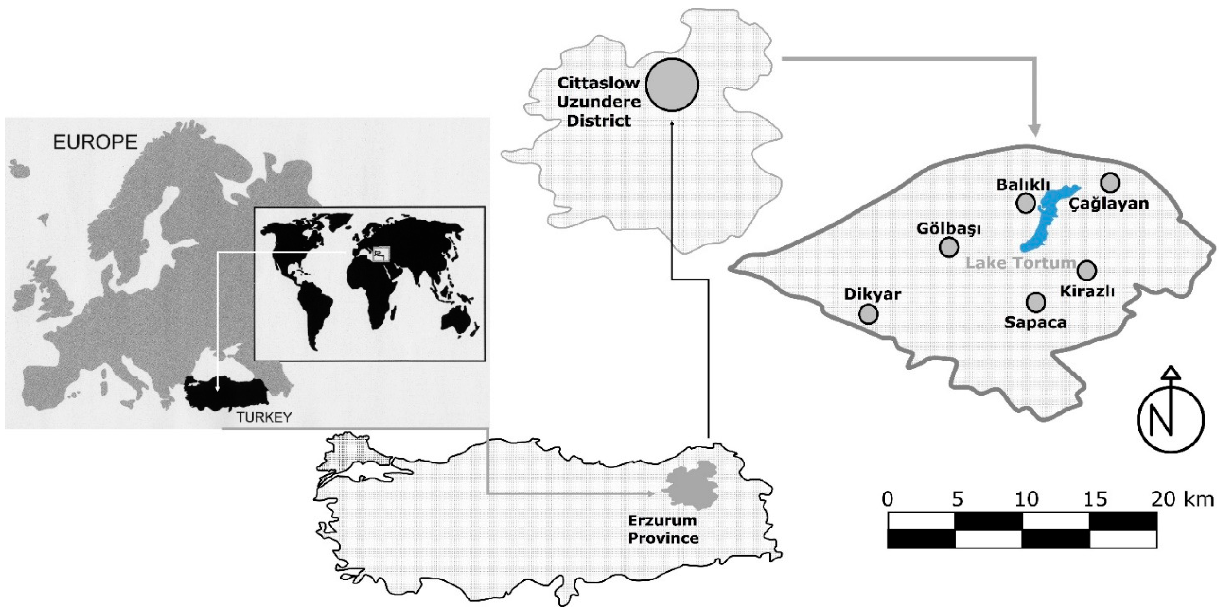 Sustainability 13 10218 g001