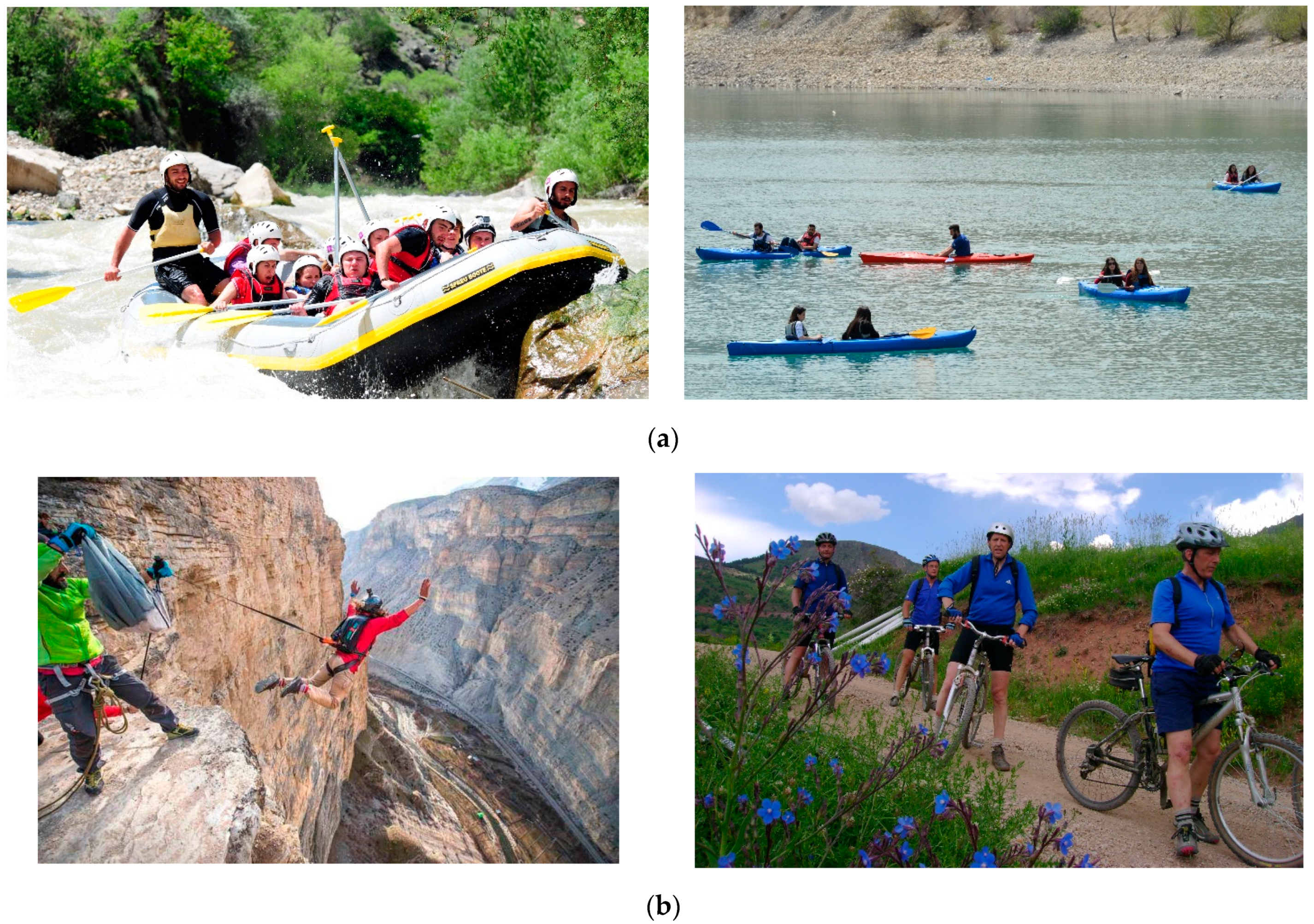 Sustainability 13 10218 g003