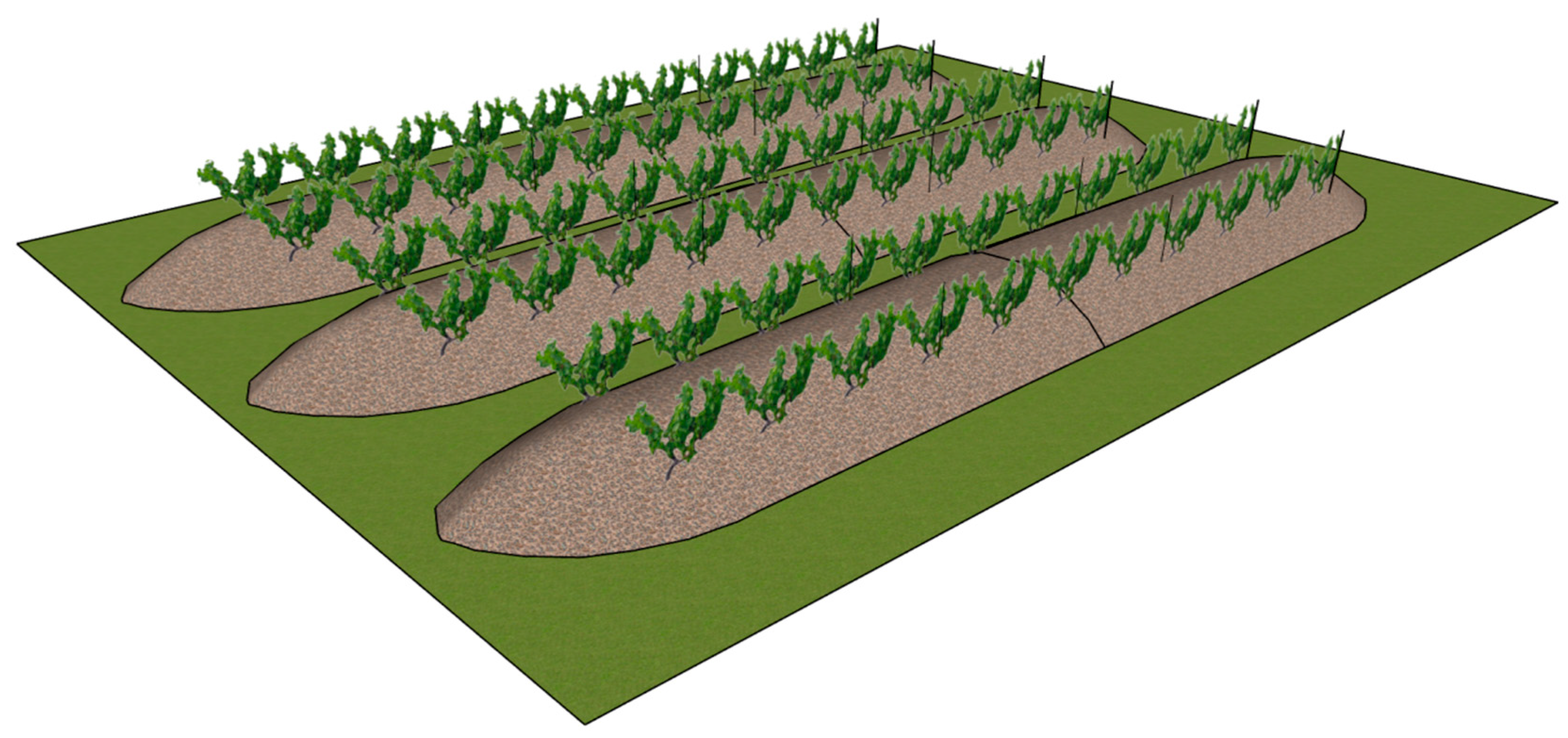 Sustainability 13 10236 g001 Sustainability 13 10236 g001