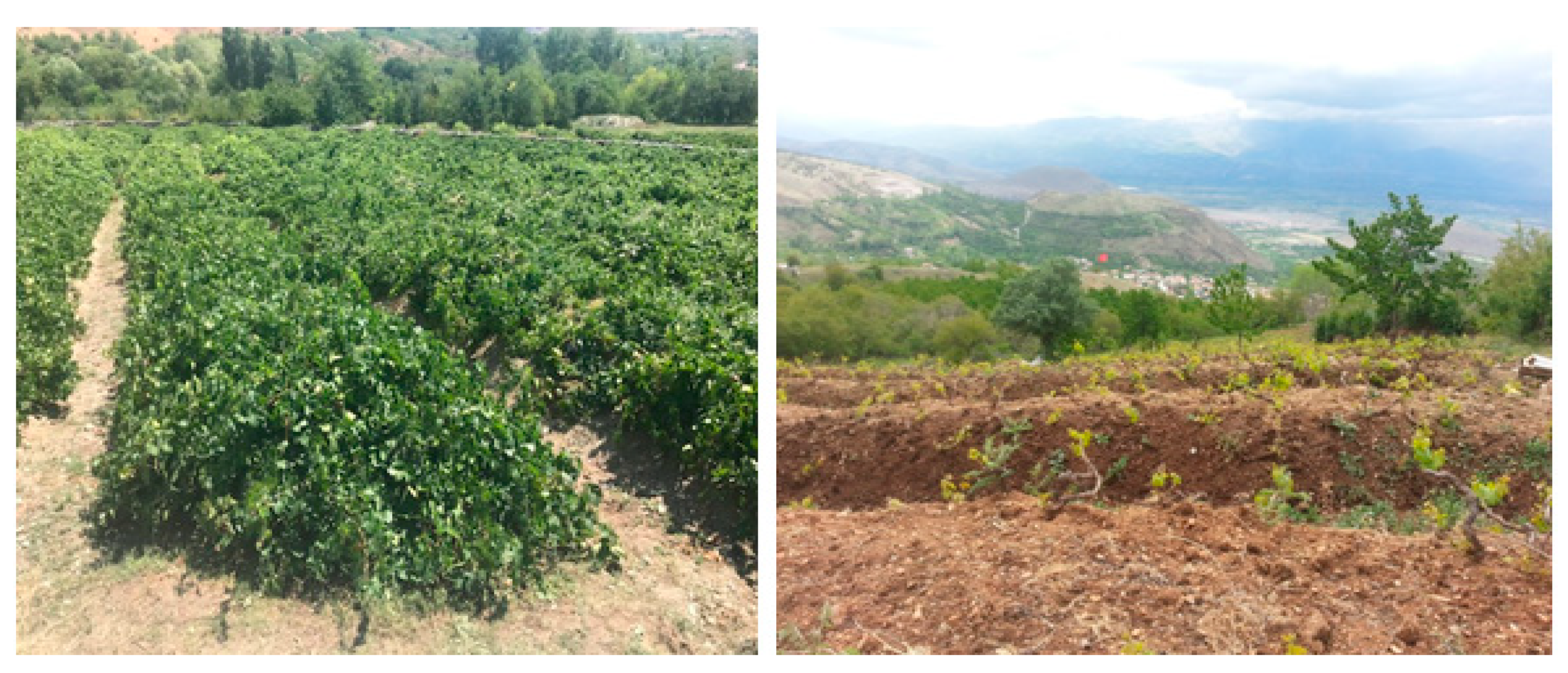 Sustainability 13 10236 g002 Sustainability 13 10236 g002